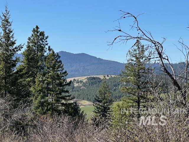 000 Spring Valley Rd., Troy, Idaho 83871, Land For Sale, Price $450,000, 98979170
