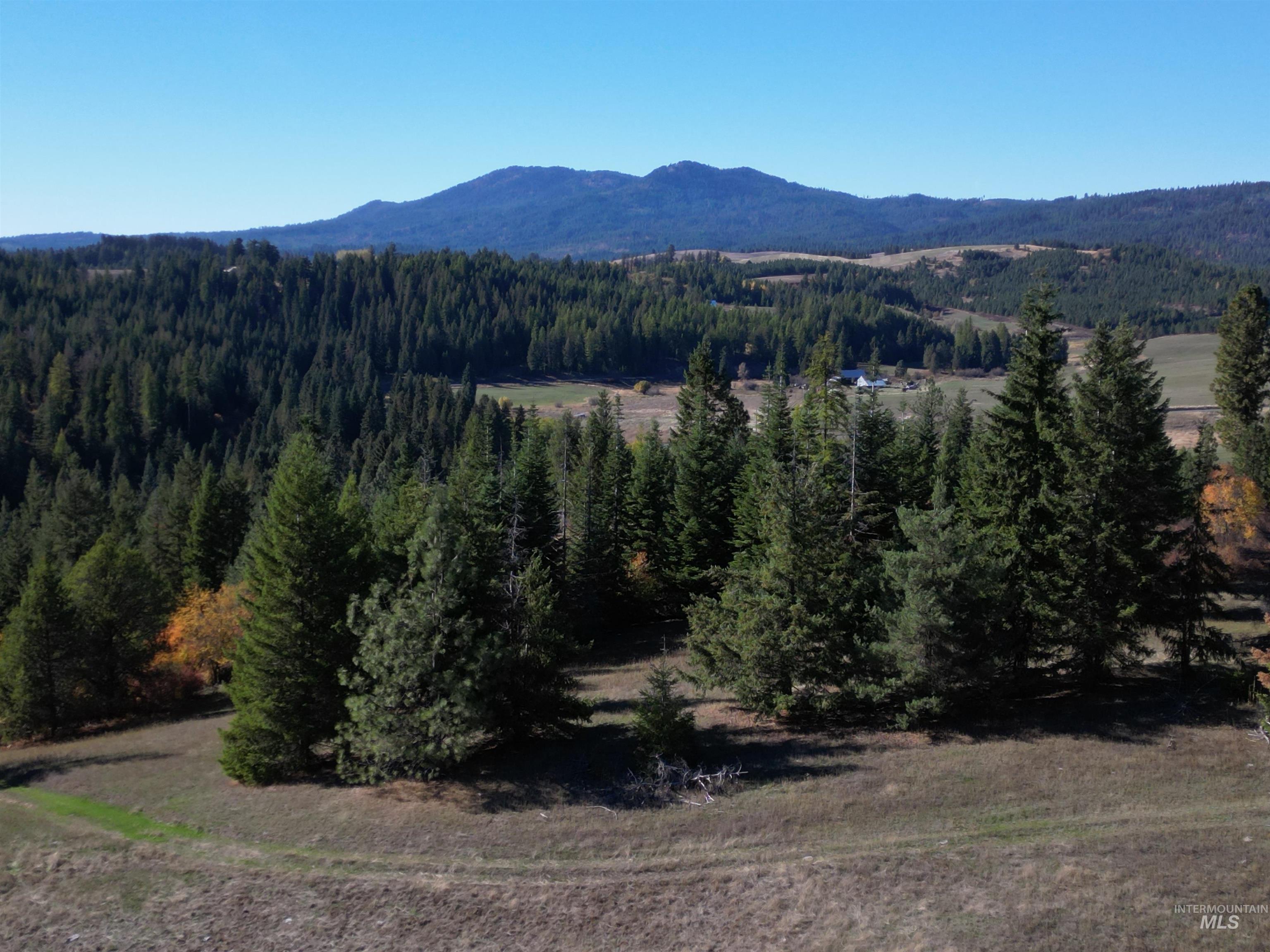 000 Spring Valley Rd., Troy, Idaho 83871, Land For Sale, Price $450,000, 98979170