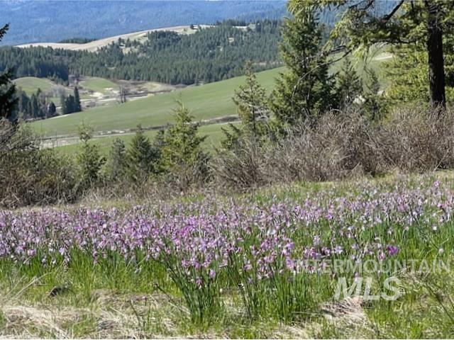 000 Spring Valley Rd., Troy, Idaho 83871, Land For Sale, Price $450,000, 98979170