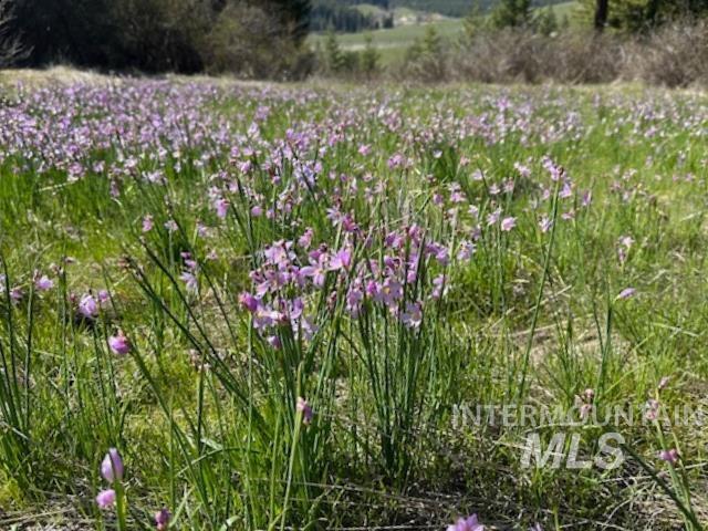 000 Spring Valley Rd., Troy, Idaho 83871, Land For Sale, Price $450,000, 98979170