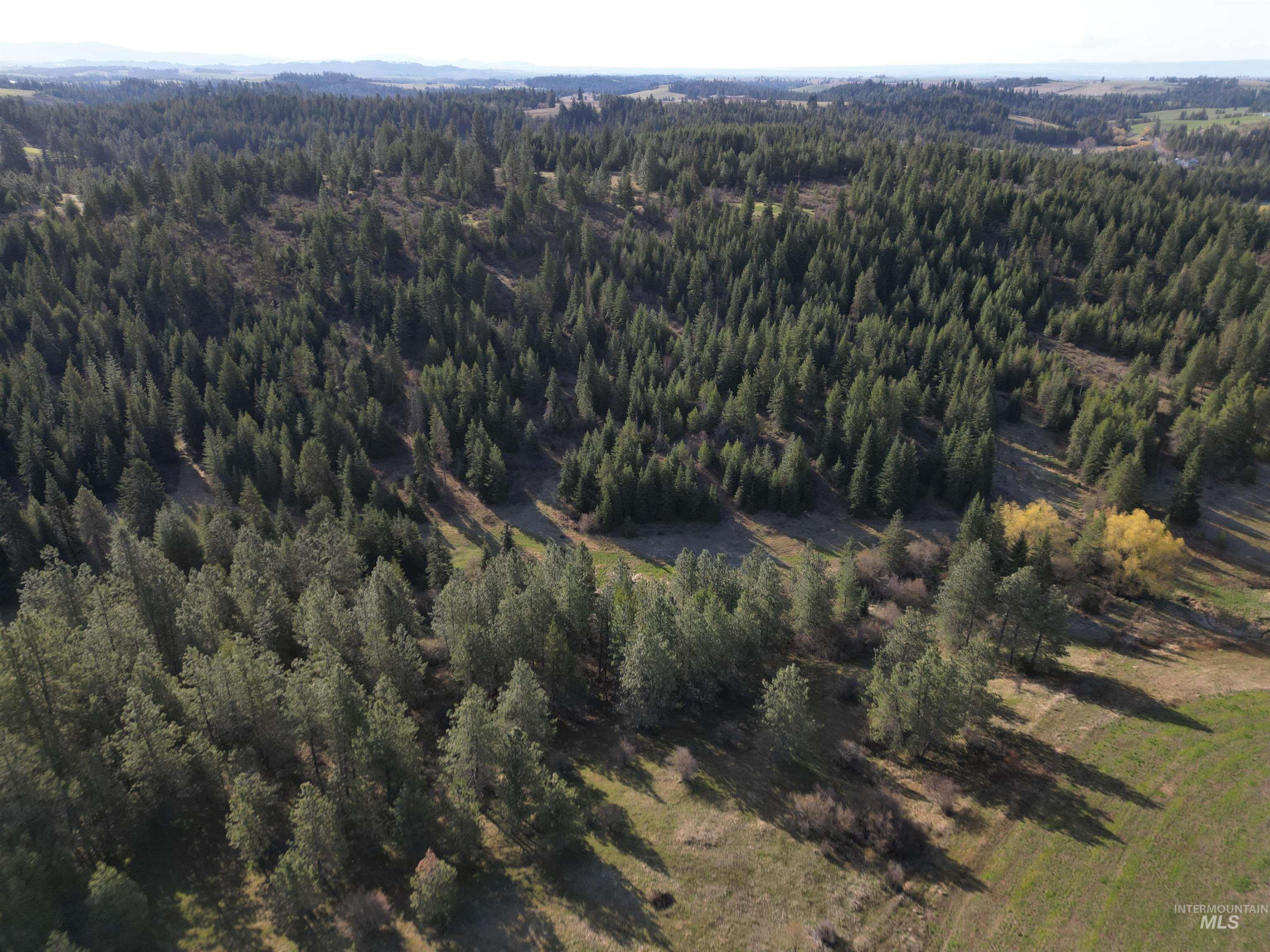 000 Spring Valley Rd., Troy, Idaho 83871, Land For Sale, Price $450,000, 98979170