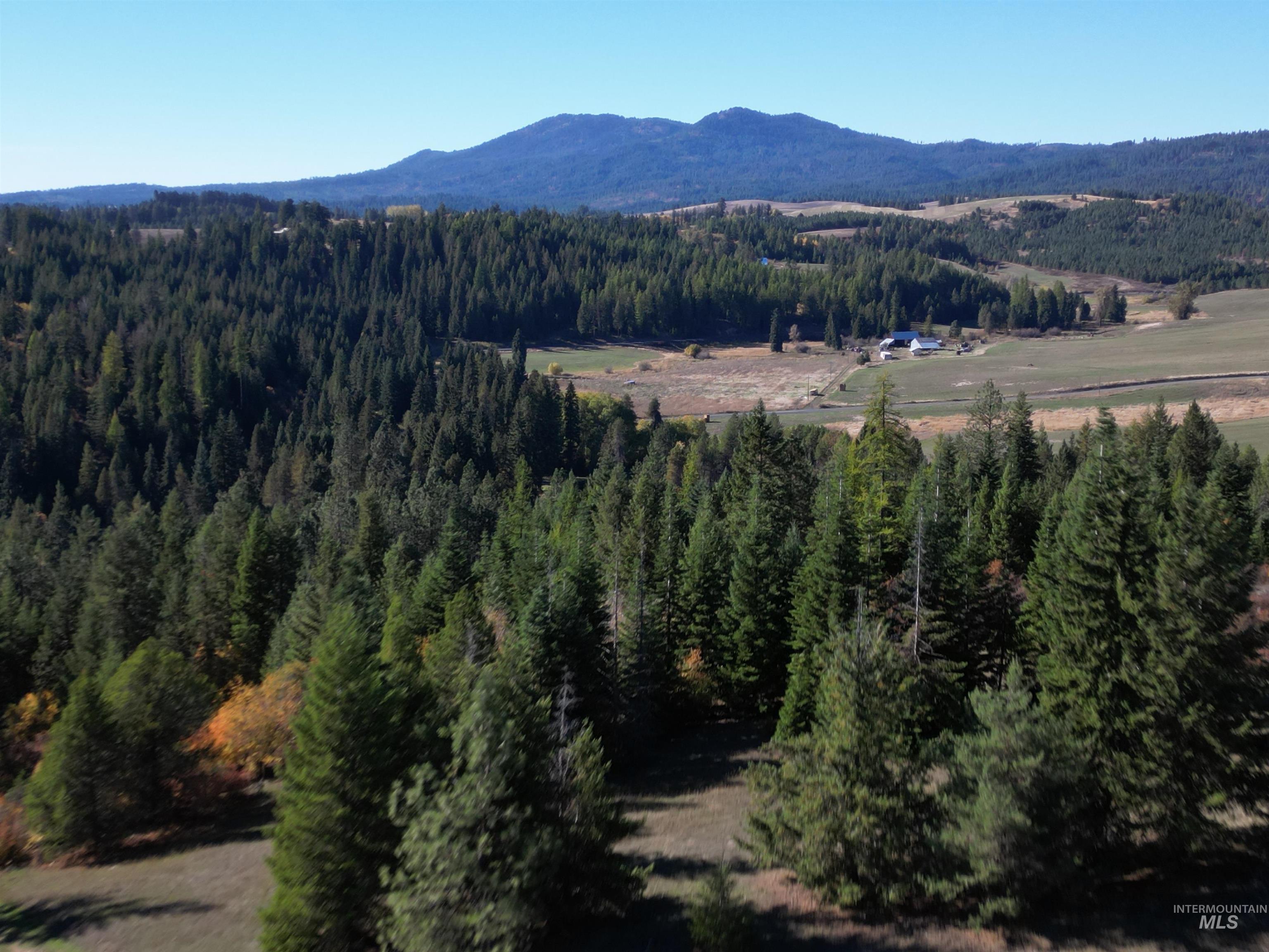 000 Spring Valley Rd., Troy, Idaho 83871, Land For Sale, Price $450,000, 98979170