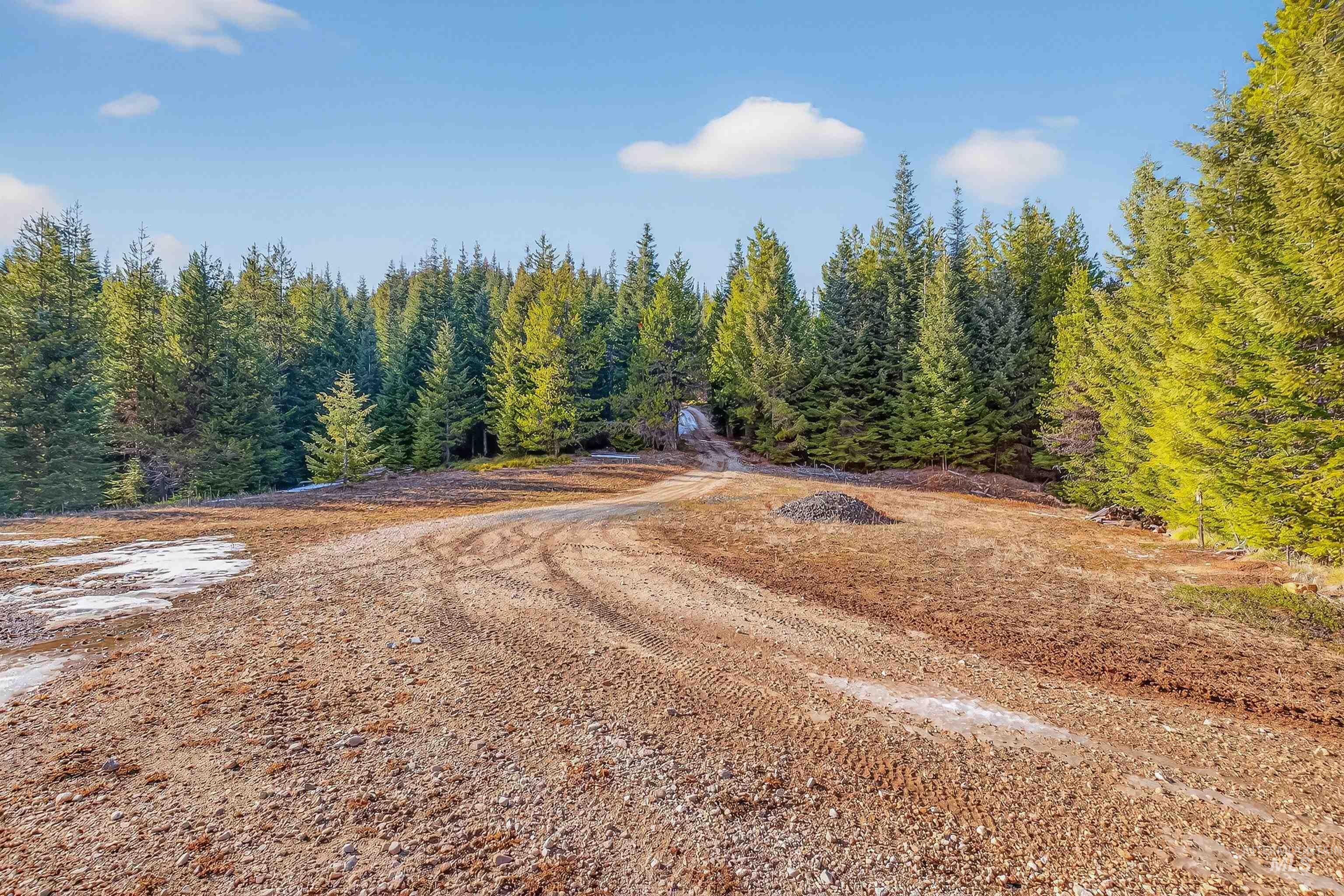 467 Santiam Road, Grangeville, Idaho 83530, 4 Bedrooms, 4 Bathrooms, Residential For Sale, Price $2,750,000,MLS 98979186