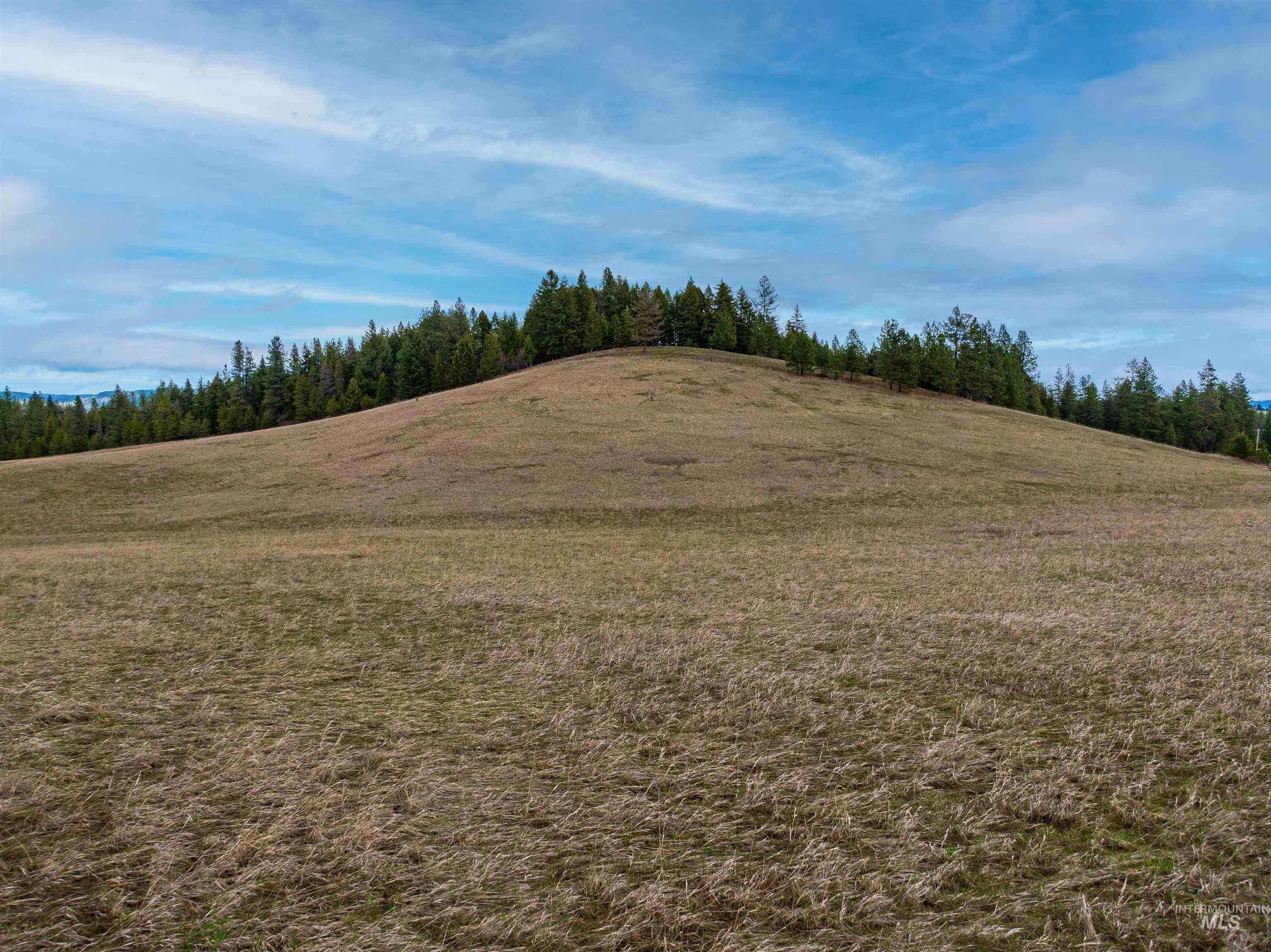 000 Johnson Rd, Deary, Idaho 83823, Land For Sale, Price $395,000, 98979198