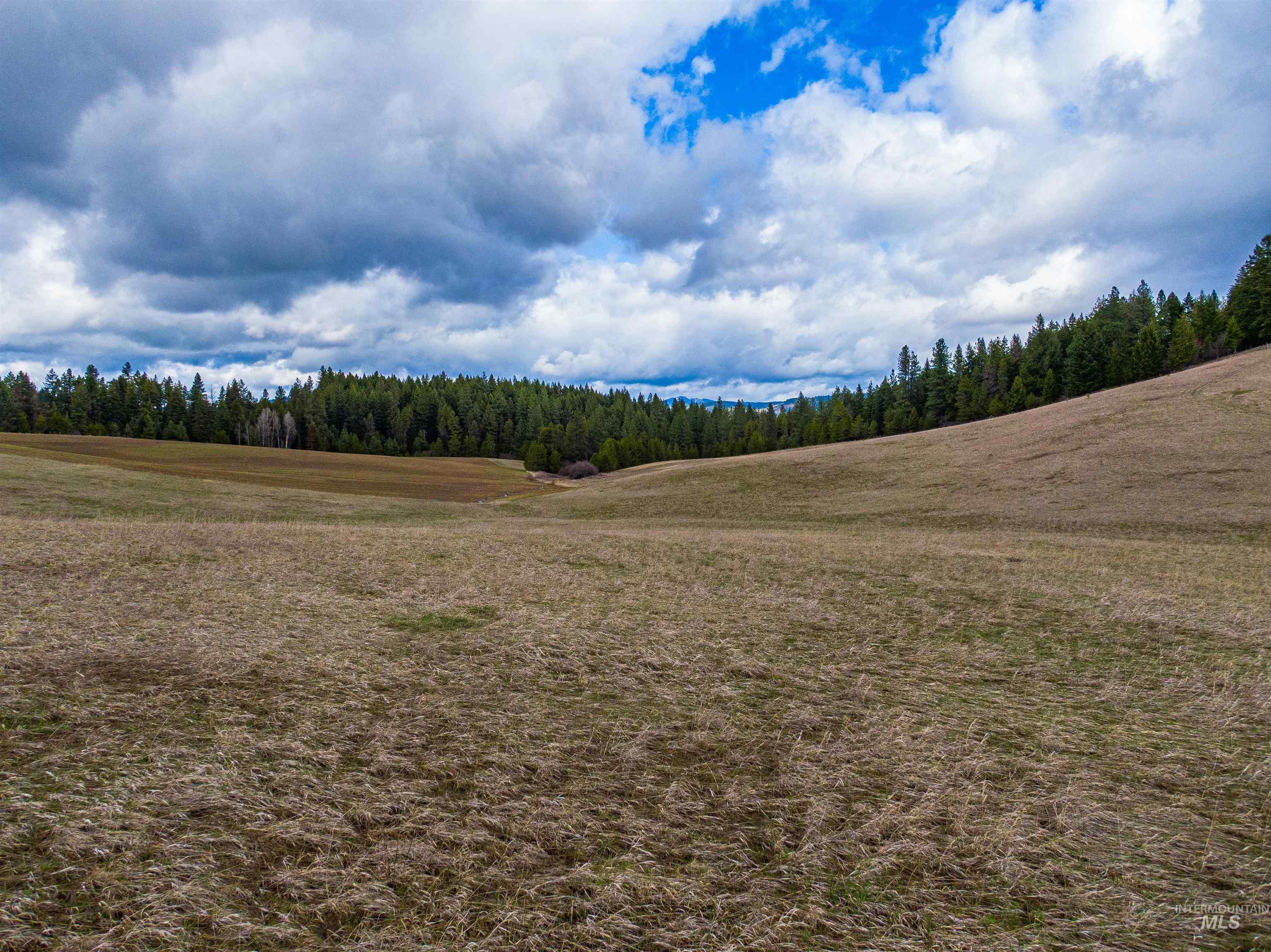 000 Johnson Rd, Deary, Idaho 83823, Land For Sale, Price $395,000, 98979198