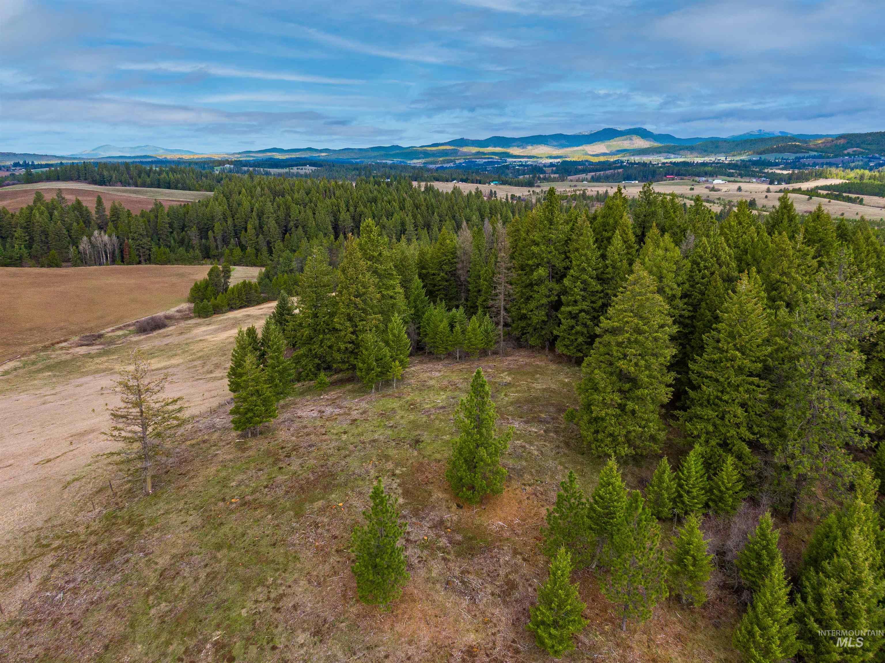 000 Johnson Rd, Deary, Idaho 83823, Land For Sale, Price $395,000, 98979198