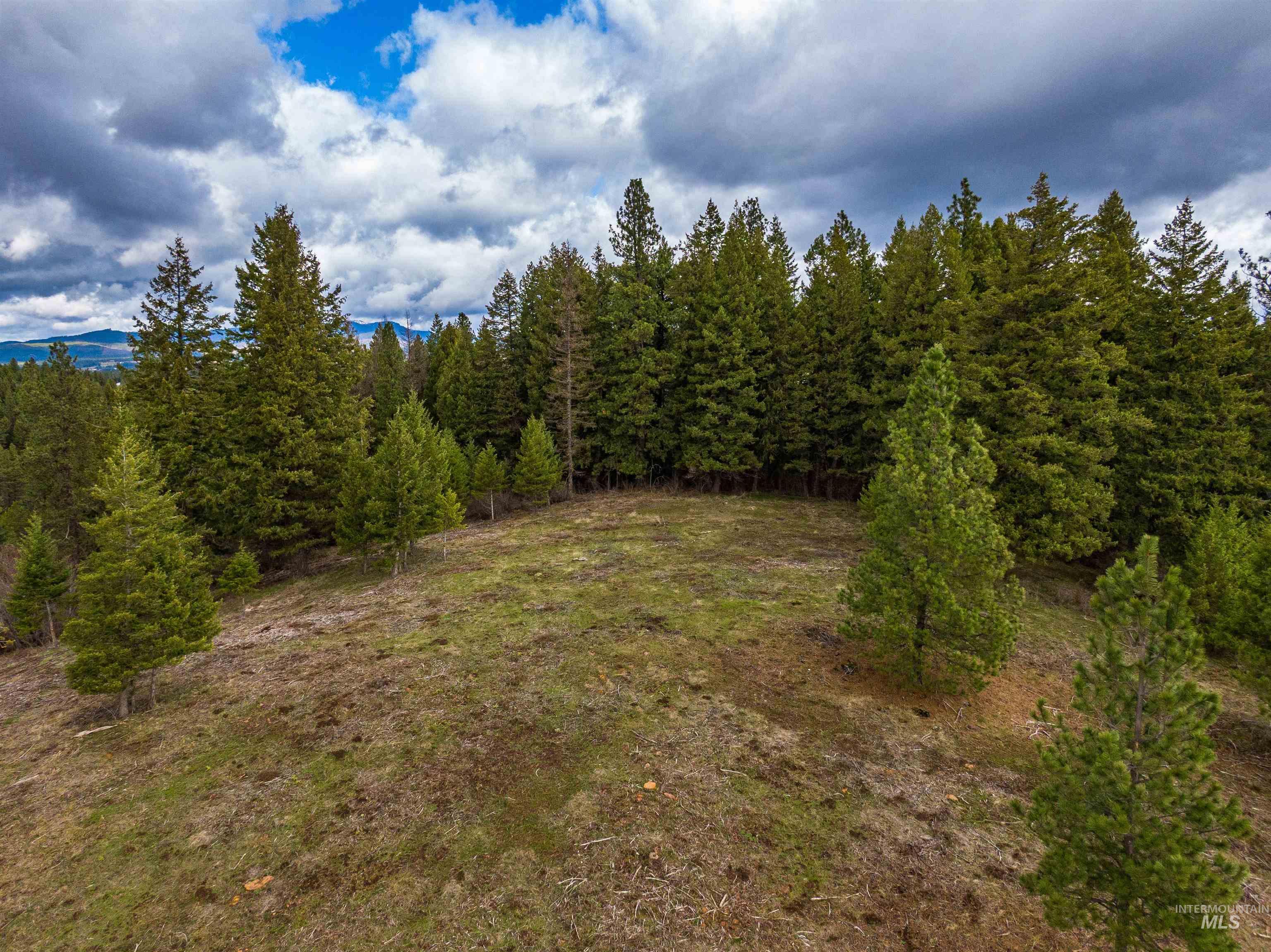 000 Johnson Rd, Deary, Idaho 83823, Land For Sale, Price $395,000, 98979198
