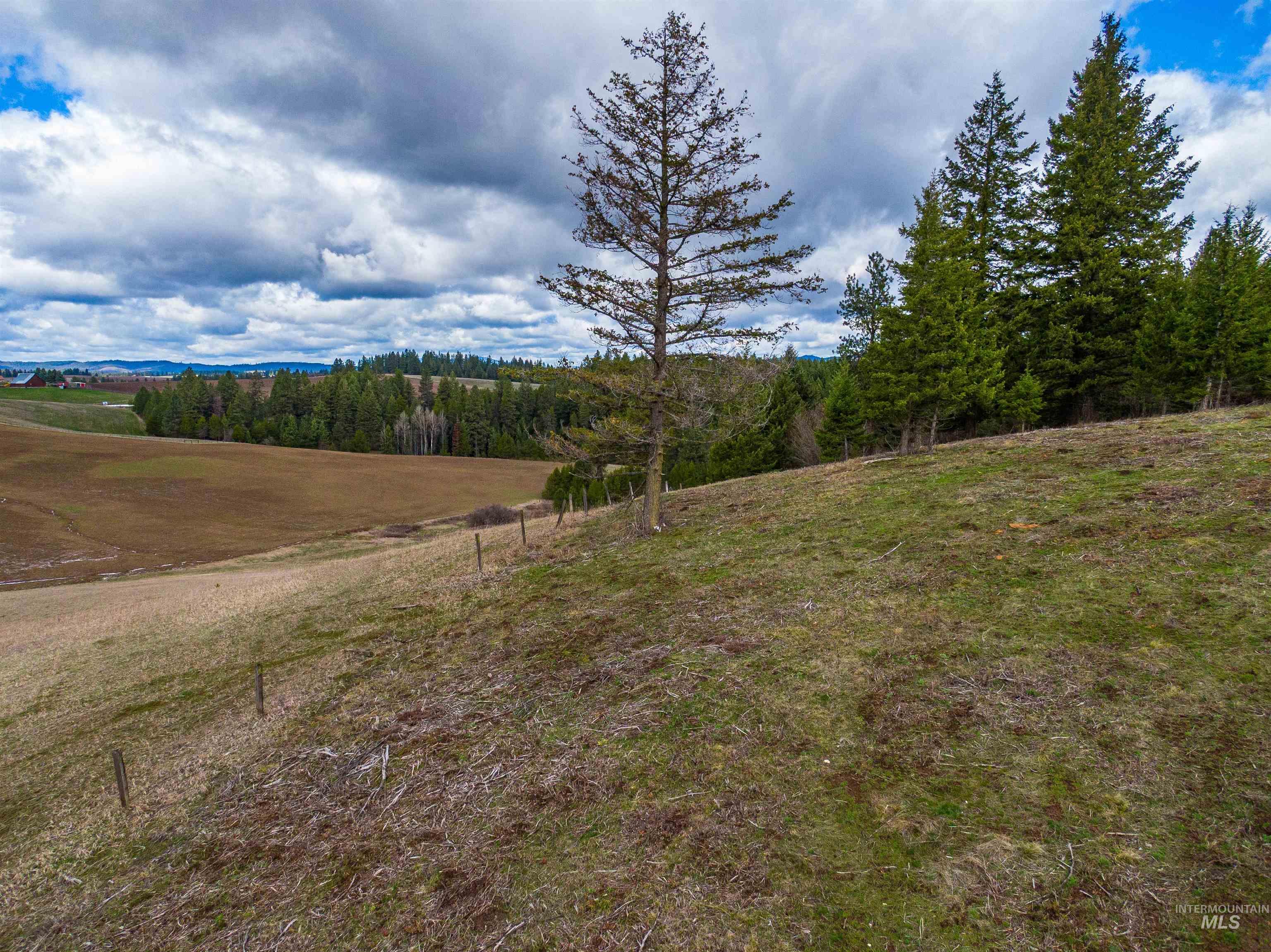 000 Johnson Rd, Deary, Idaho 83823, Land For Sale, Price $395,000, 98979198