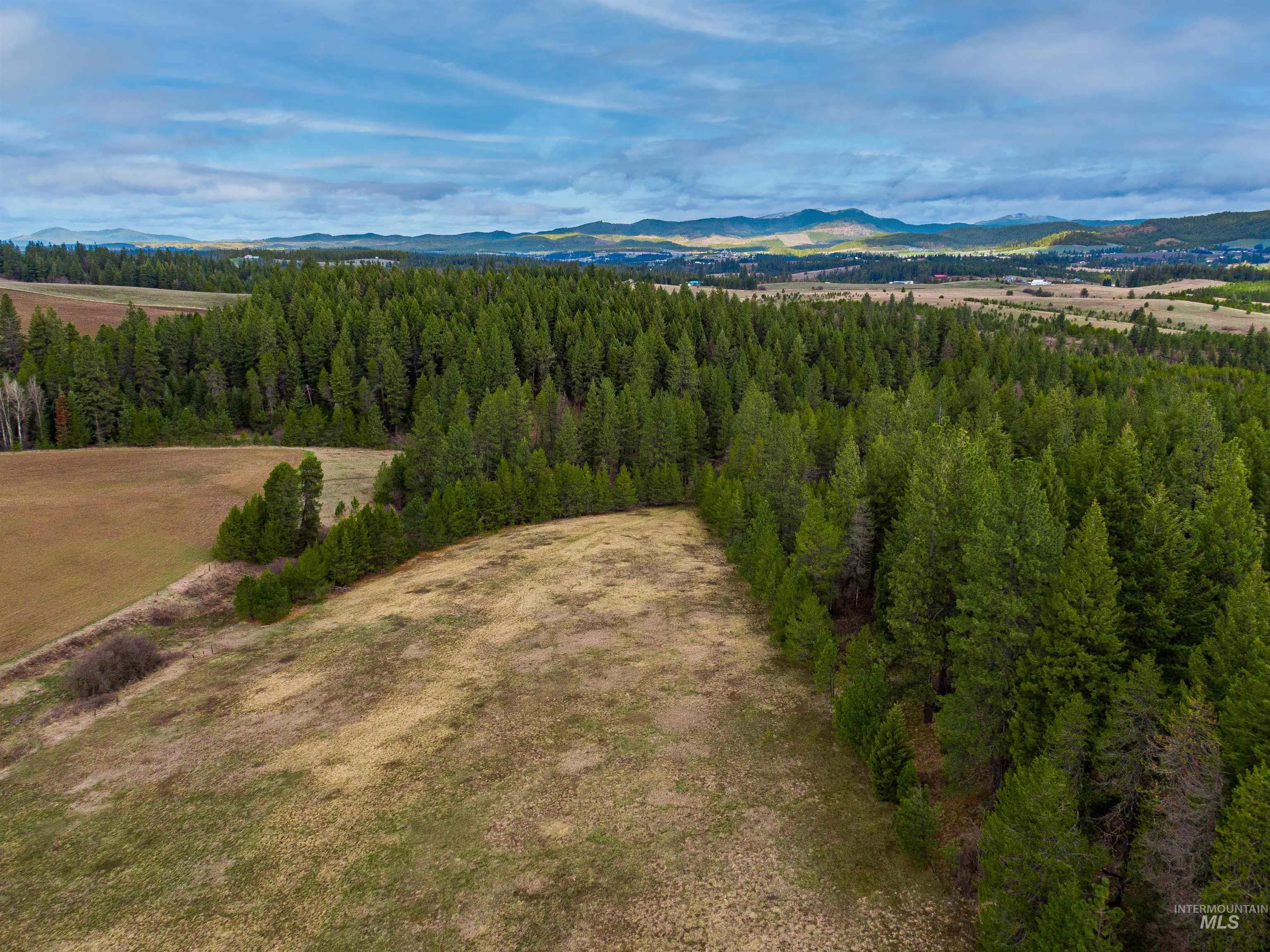 000 Johnson Rd, Deary, Idaho 83823, Land For Sale, Price $395,000, 98979198