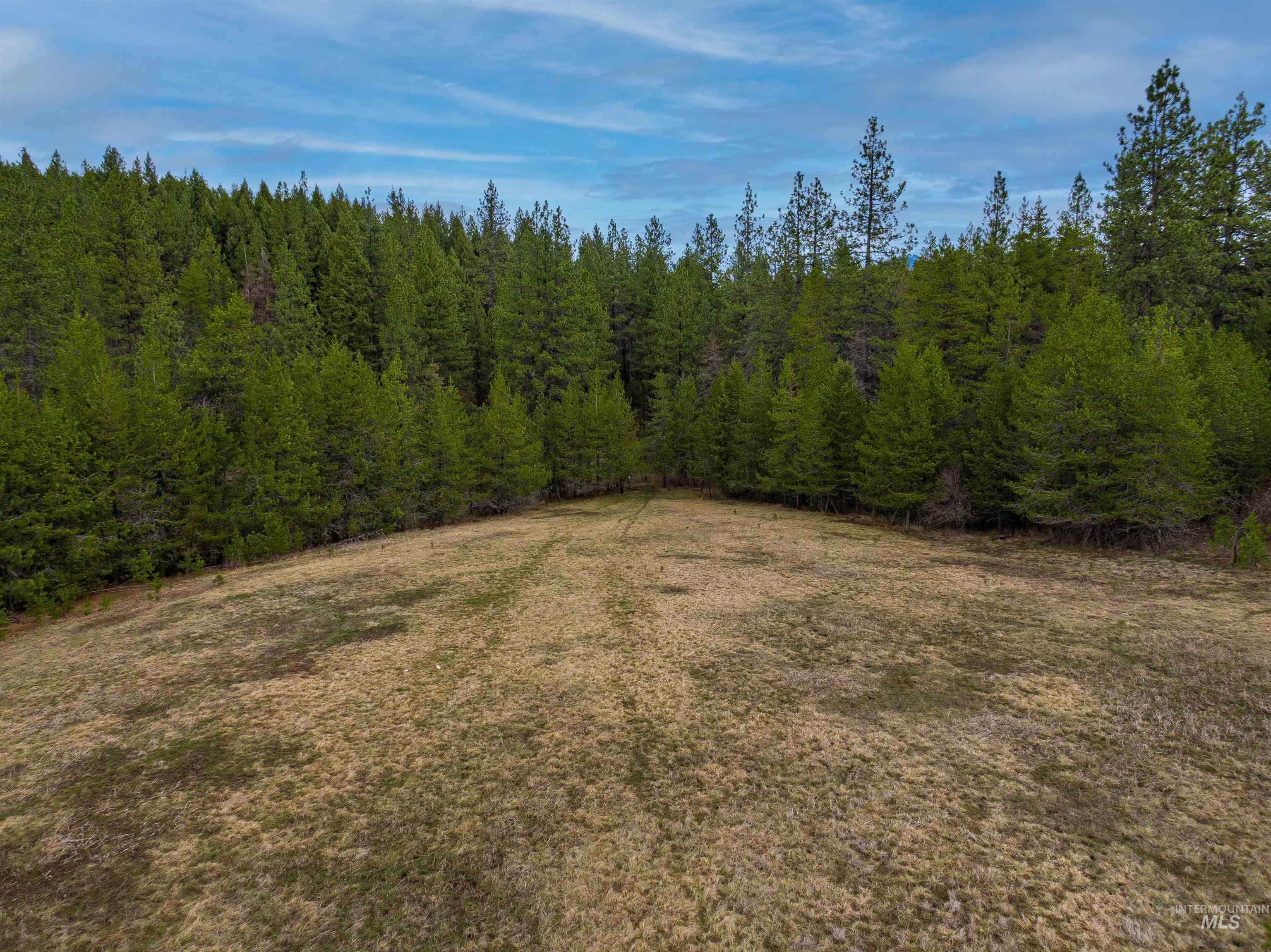 000 Johnson Rd, Deary, Idaho 83823, Land For Sale, Price $395,000, 98979198
