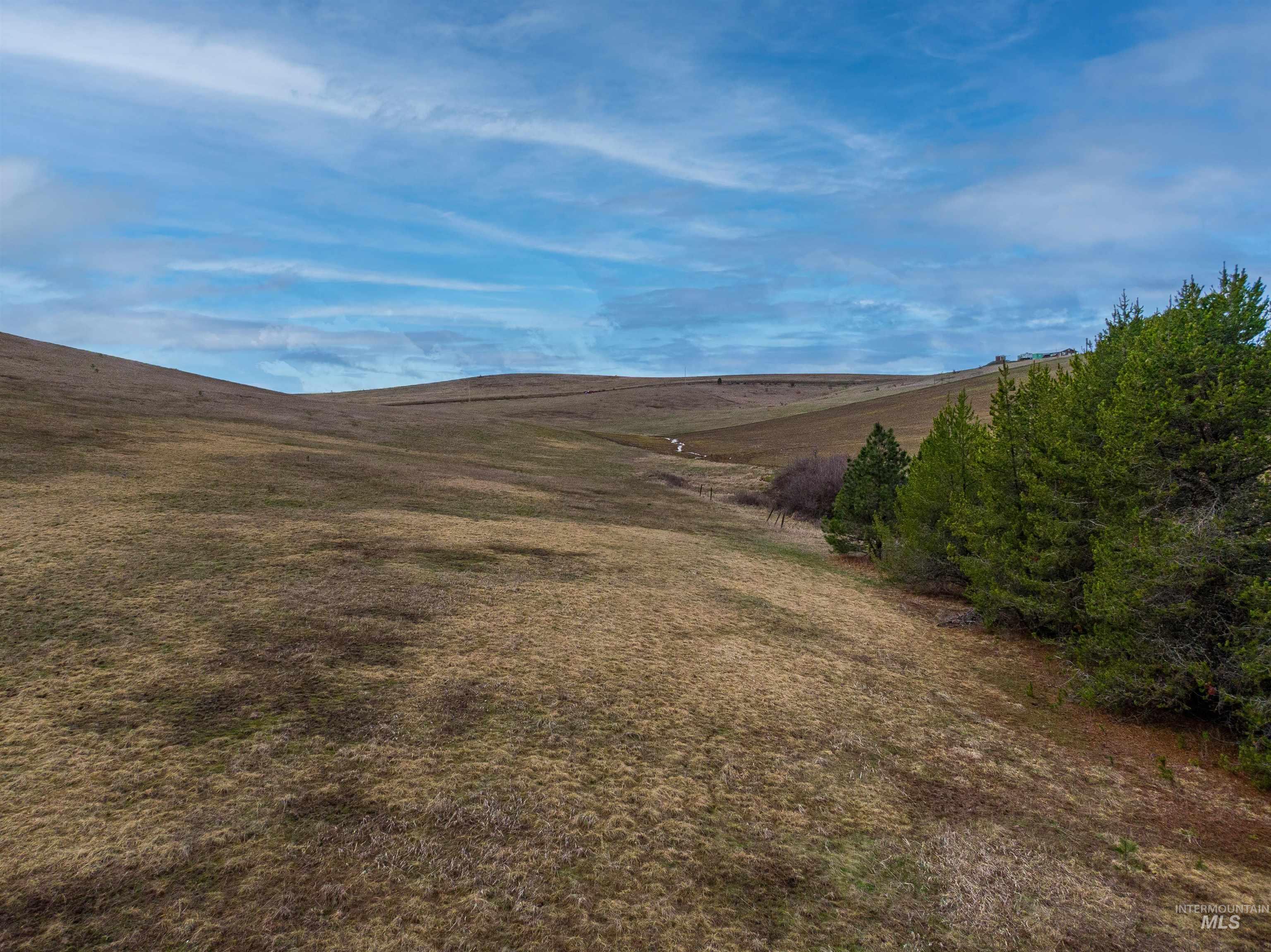 000 Johnson Rd, Deary, Idaho 83823, Land For Sale, Price $395,000, 98979198