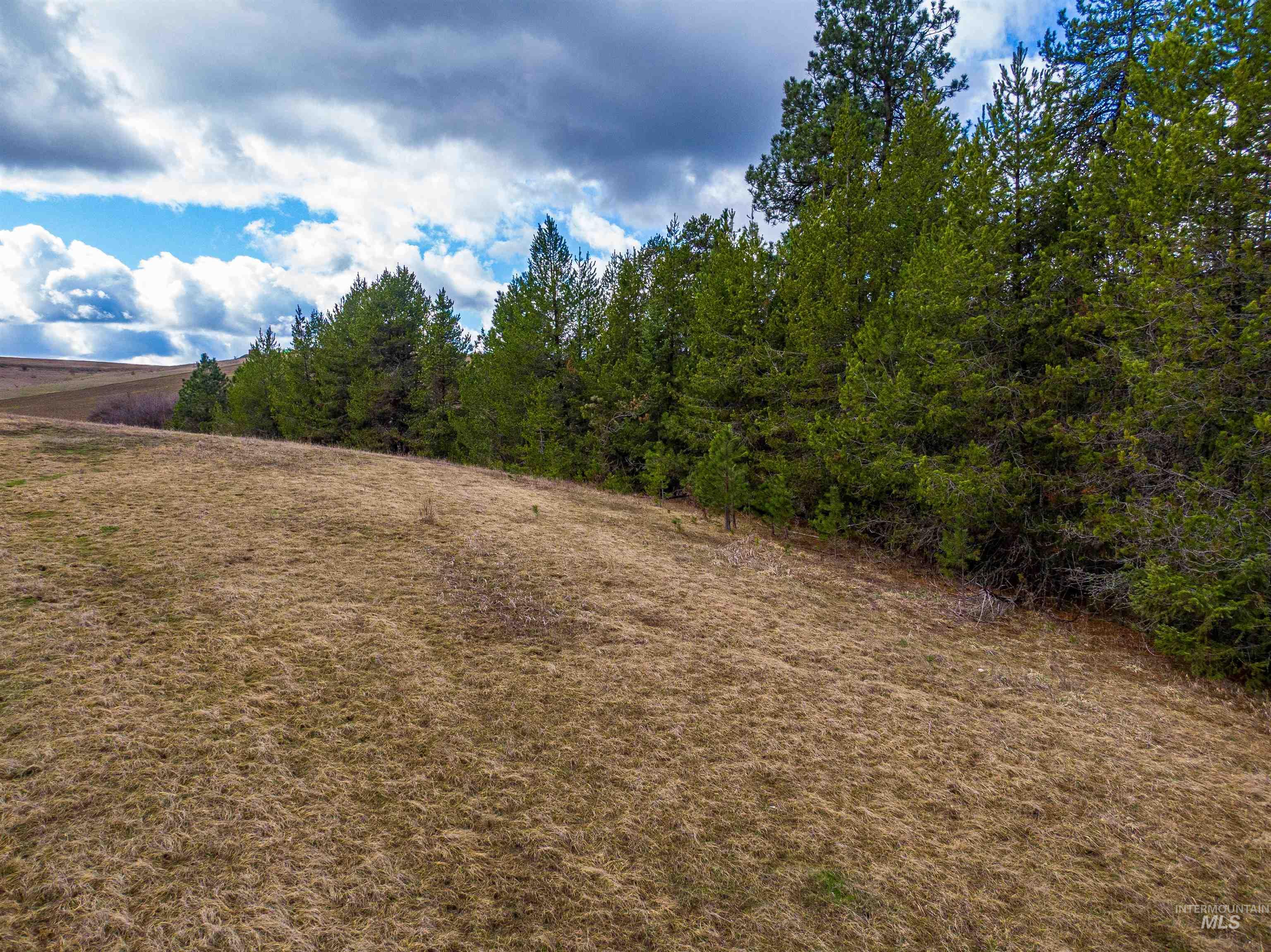 000 Johnson Rd, Deary, Idaho 83823, Land For Sale, Price $395,000, 98979198