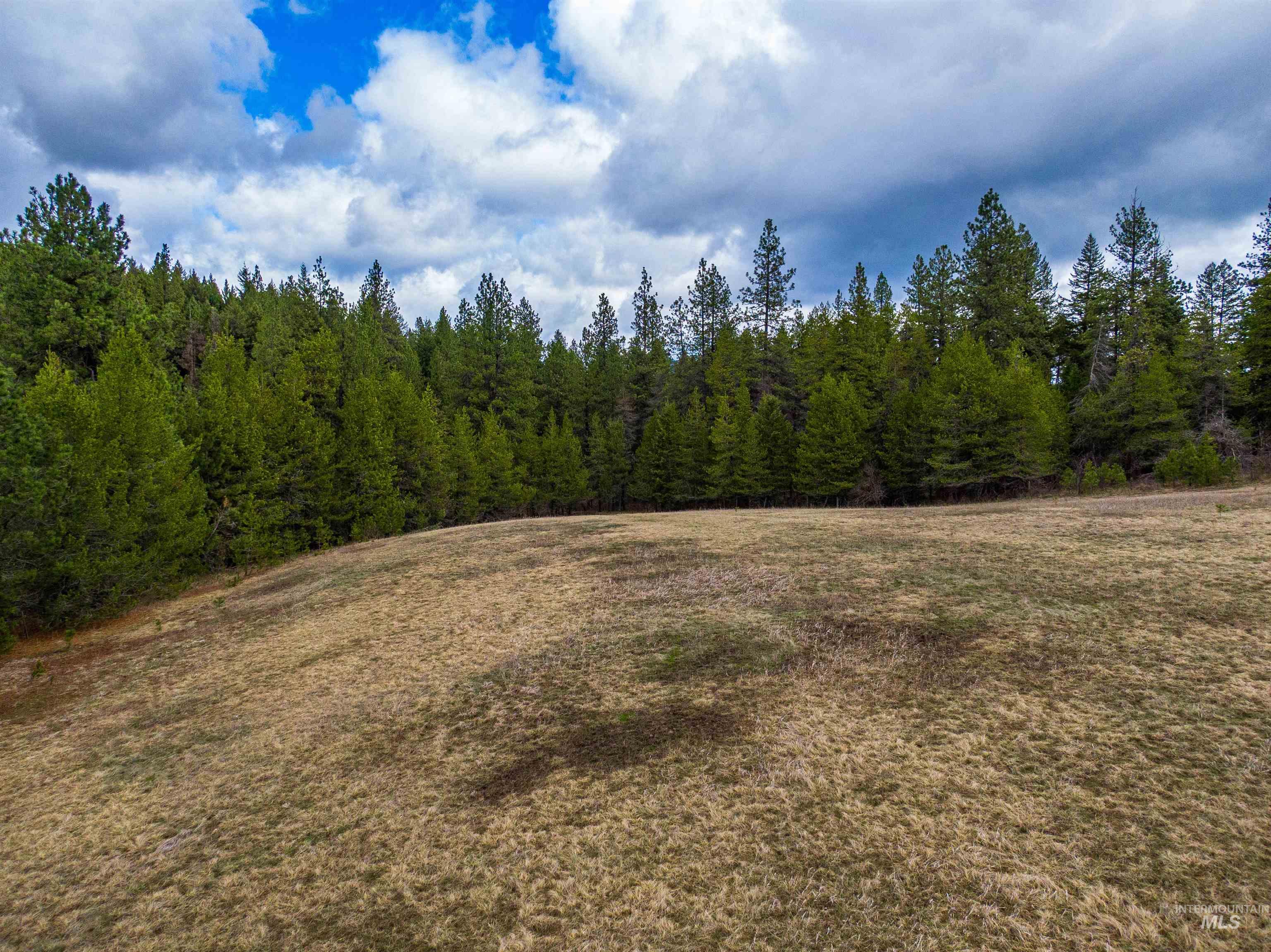 000 Johnson Rd, Deary, Idaho 83823, Land For Sale, Price $395,000, 98979198