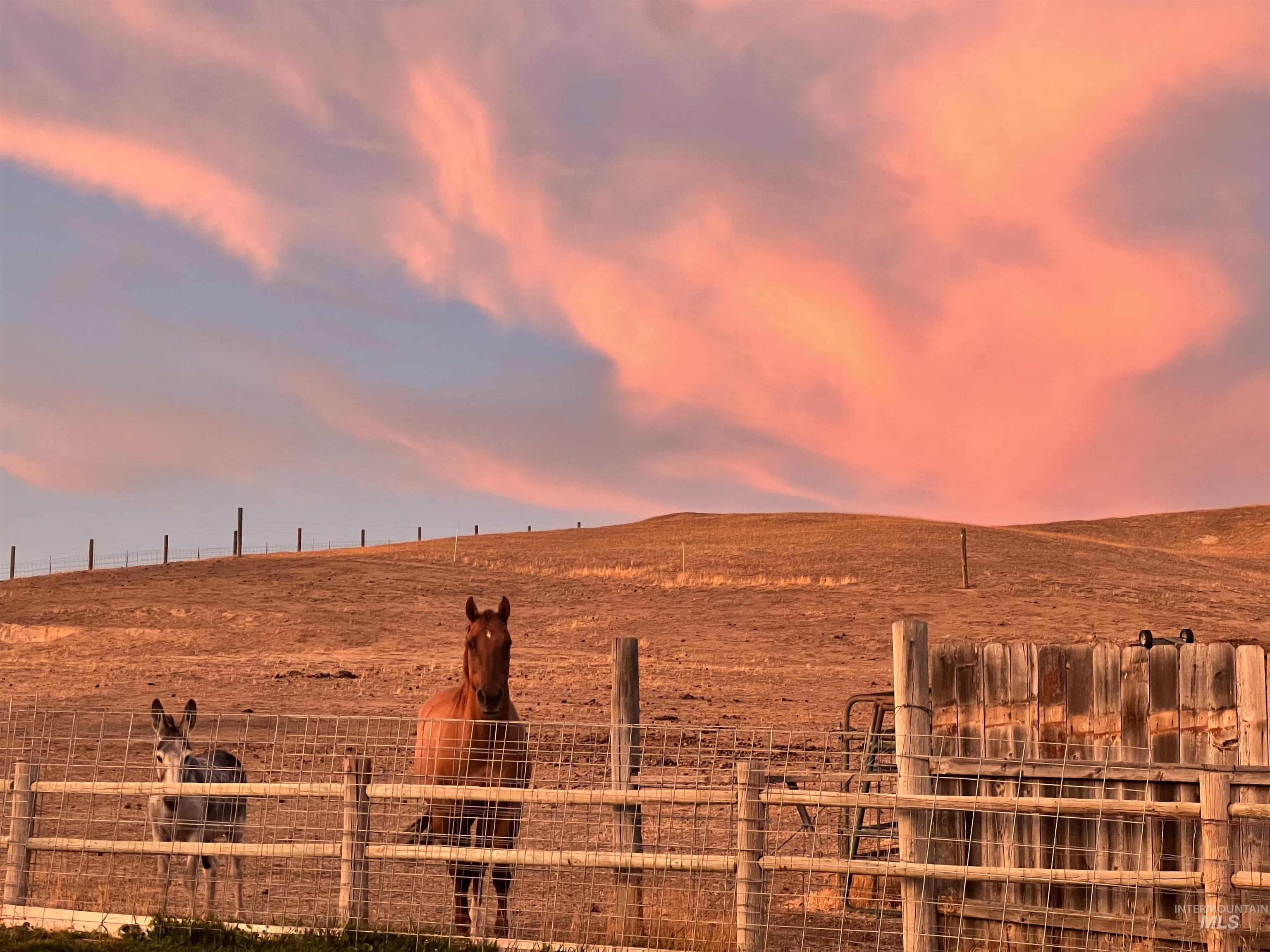 2580 Sand Hollow Rd, Caldwell, Idaho 83607, 3 Bedrooms, 3 Bathrooms, Residential For Sale, Price $849,900,MLS 98979210