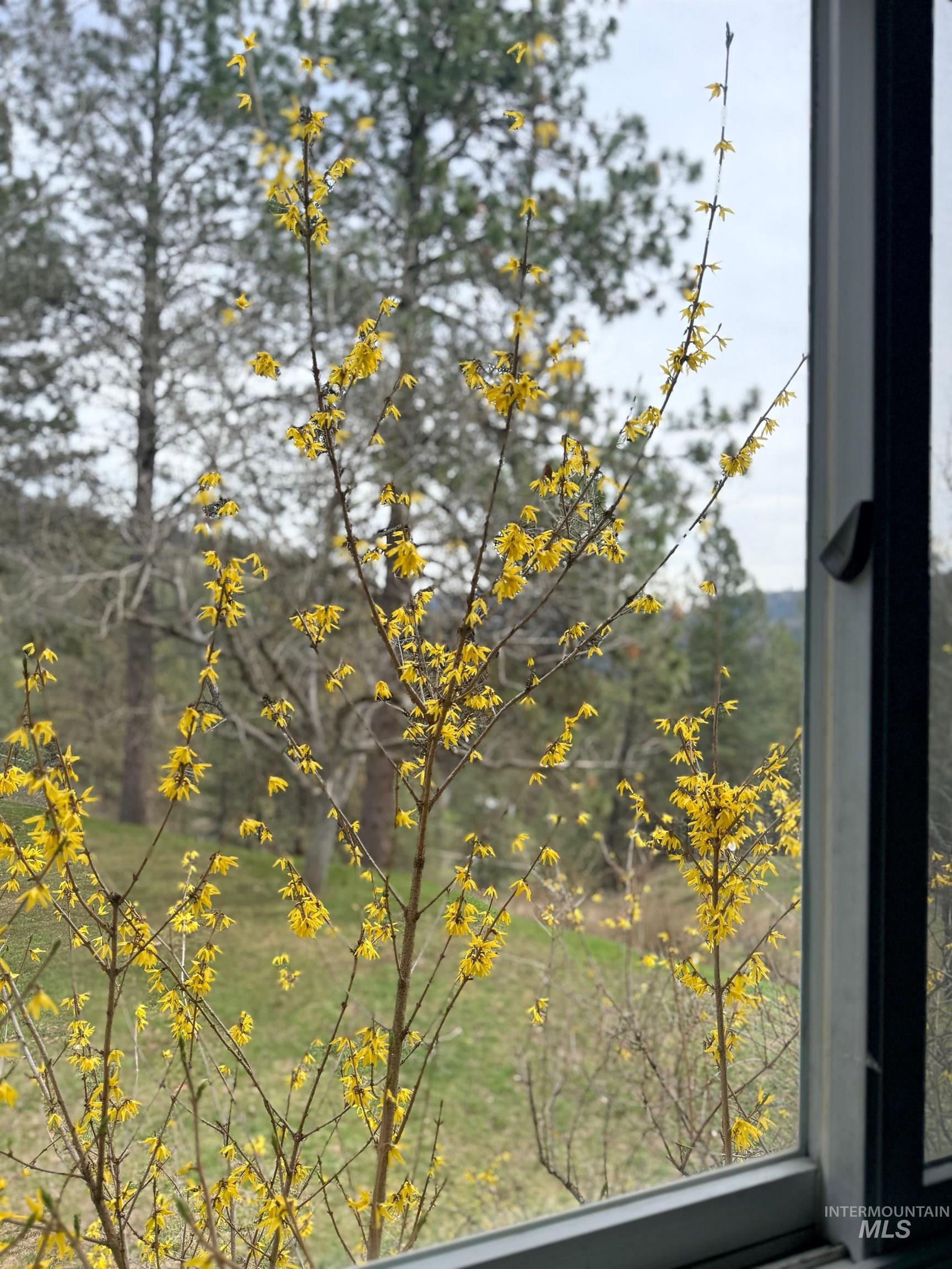 216 Shasta Cir, Orofino, Idaho 83544, 4 Bedrooms, 2 Bathrooms, Residential For Sale, Price $550,000, 98979220