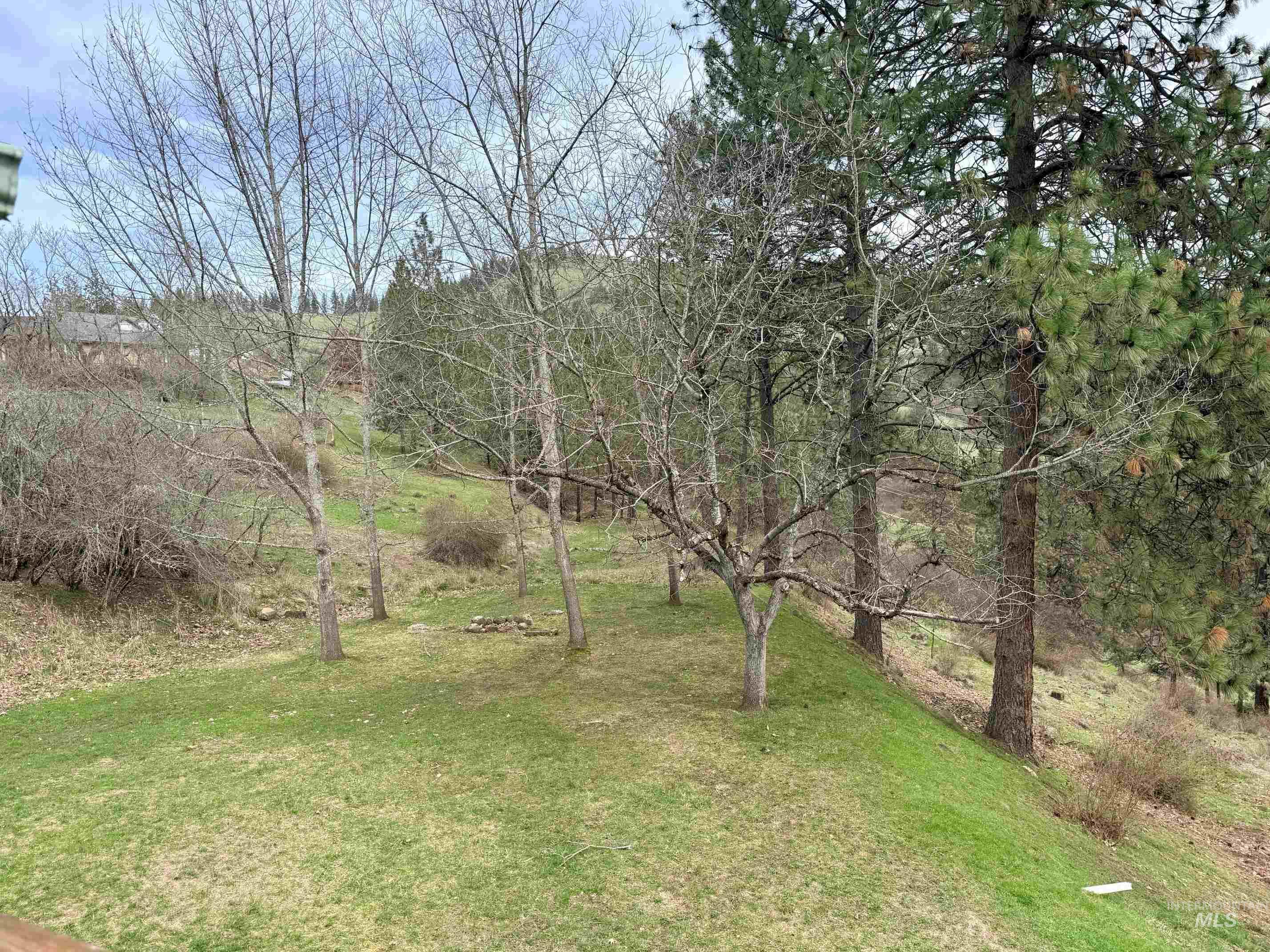 216 Shasta Cir, Orofino, Idaho 83544, 4 Bedrooms, 2 Bathrooms, Residential For Sale, Price $550,000, 98979220