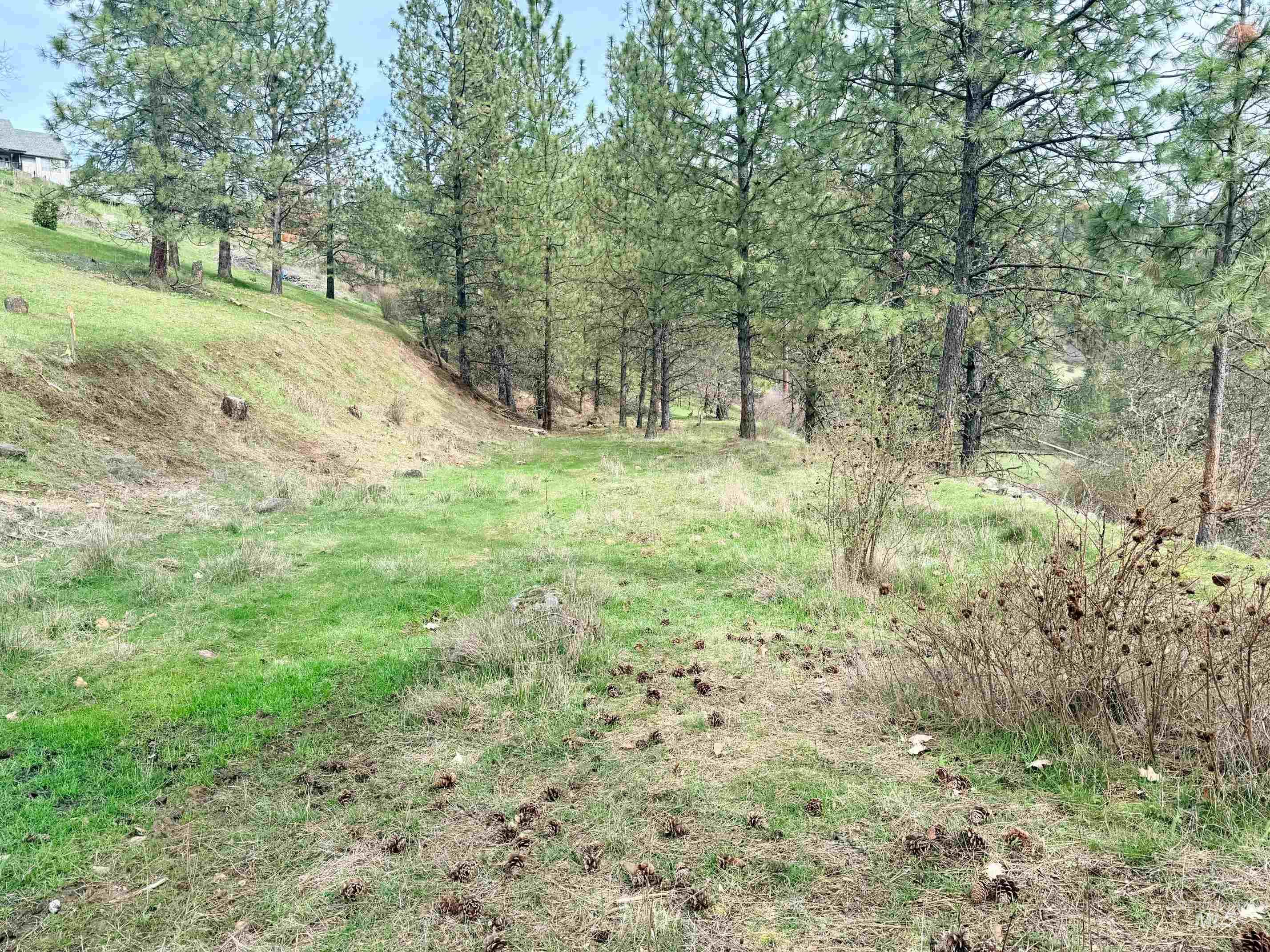 216 Shasta Cir, Orofino, Idaho 83544, 4 Bedrooms, 2 Bathrooms, Residential For Sale, Price $550,000, 98979220