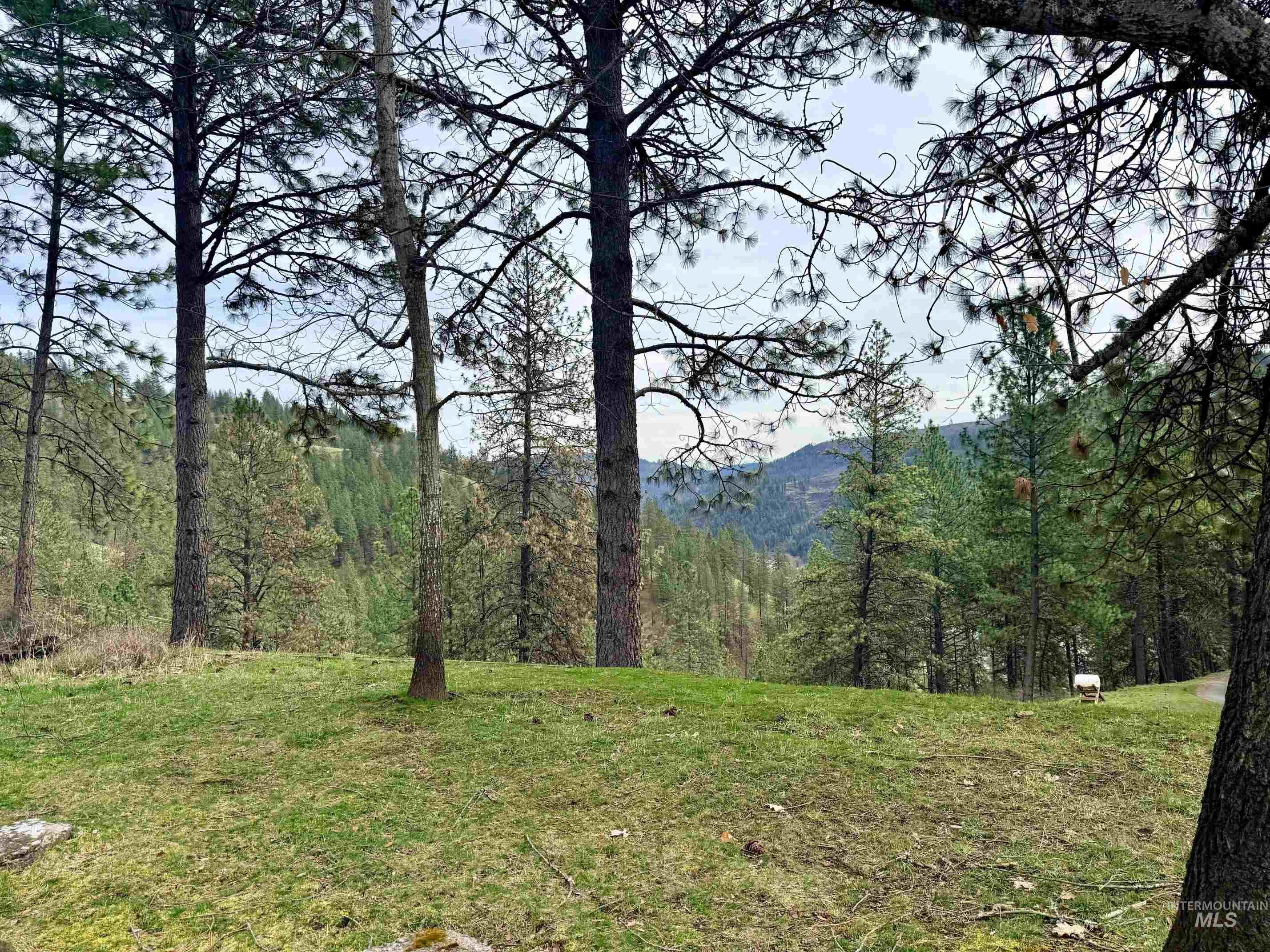 216 Shasta Cir, Orofino, Idaho 83544, 4 Bedrooms, 2 Bathrooms, Residential For Sale, Price $550,000, 98979220