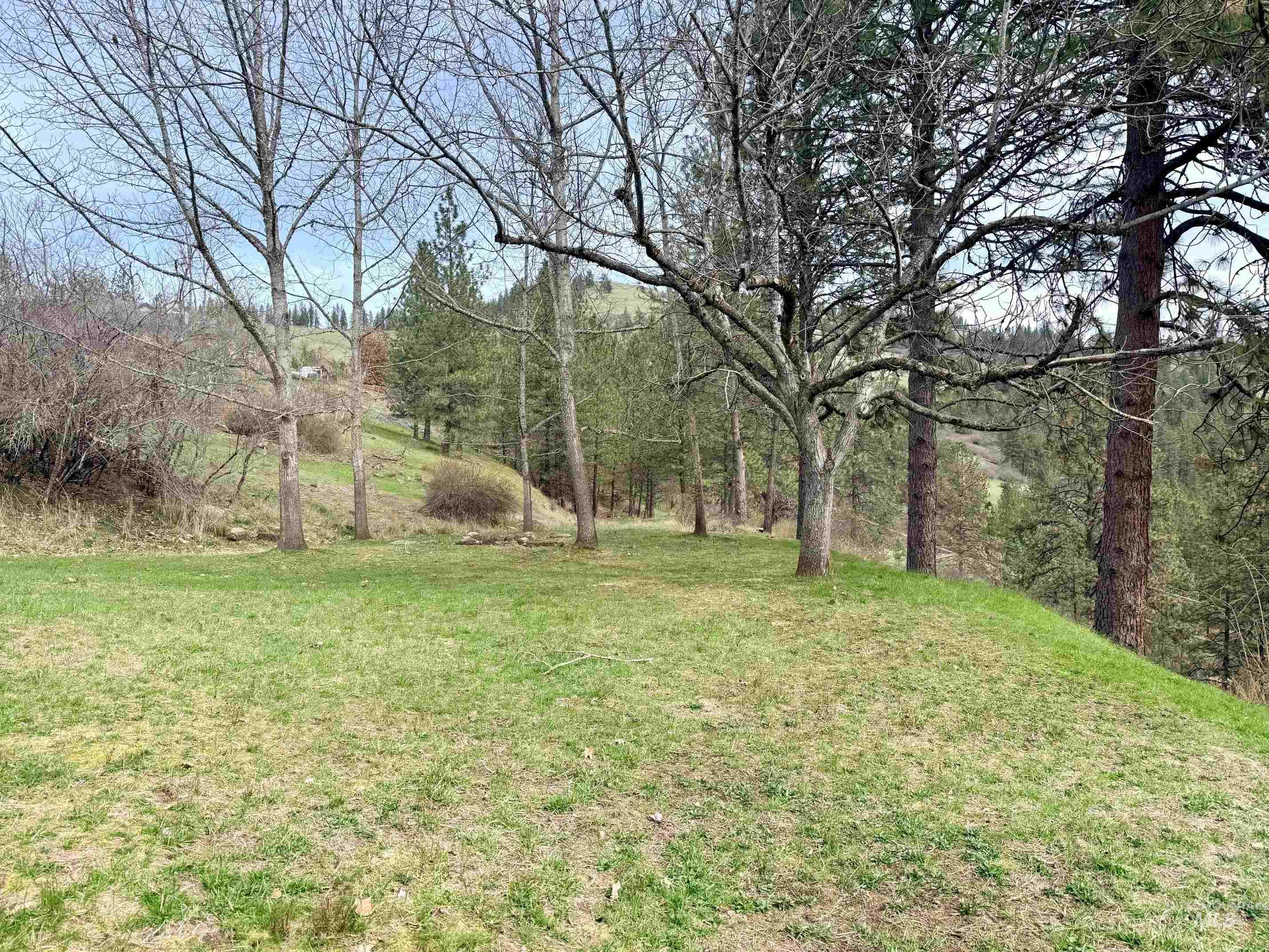 216 Shasta Cir, Orofino, Idaho 83544, 4 Bedrooms, 2 Bathrooms, Residential For Sale, Price $550,000, 98979220