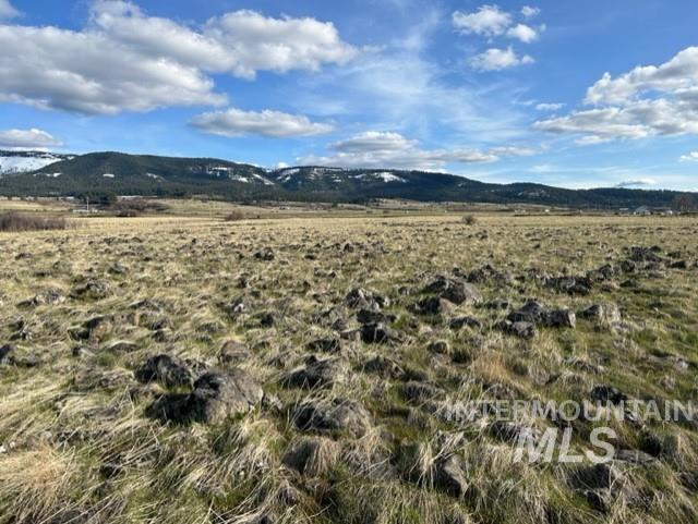 TBD Parcel 2B Whitetail Dr, Grangeville, Idaho 83530, Land For Sale, Price $140,000,MLS 98979228