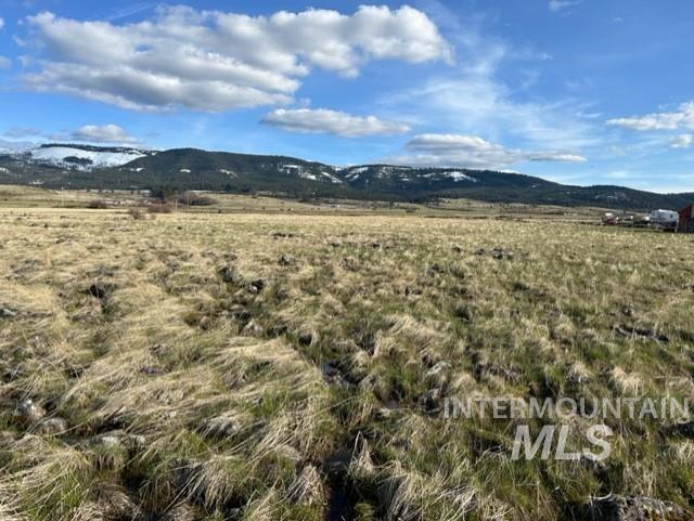 TBD Parcel 2B Whitetail Dr, Grangeville, Idaho 83530, Land For Sale, Price $140,000,MLS 98979228