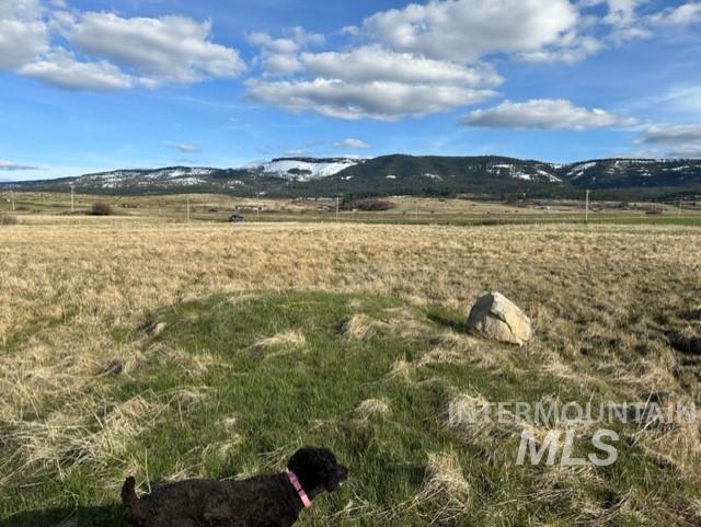 TBD Parcel 2B Whitetail Dr, Grangeville, Idaho 83530, Land For Sale, Price $140,000,MLS 98979228