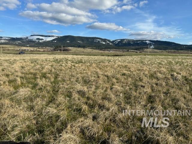 TBD Parcel 2A Whitetail Dr, Grangeville, Idaho 83530, Land For Sale, Price $150,000,MLS 98979231