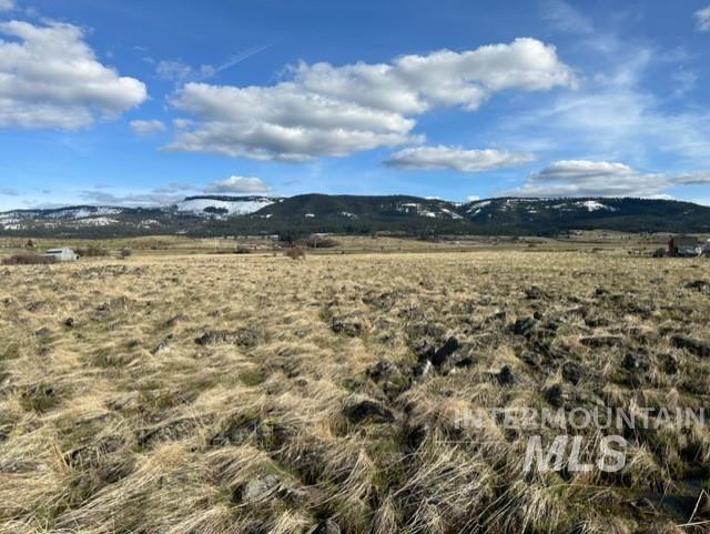 TBD Parcel 2A Whitetail Dr, Grangeville, Idaho 83530, Land For Sale, Price $150,000,MLS 98979231