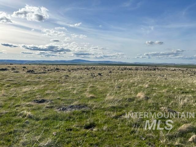 TBD Parcel 2A Whitetail Dr, Grangeville, Idaho 83530, Land For Sale, Price $150,000,MLS 98979231