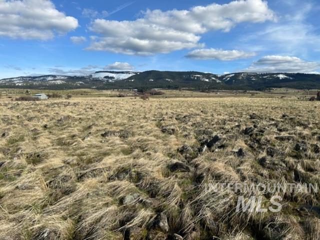 TBD Parcel 2A Whitetail Dr, Grangeville, Idaho 83530, Land For Sale, Price $150,000,MLS 98979231