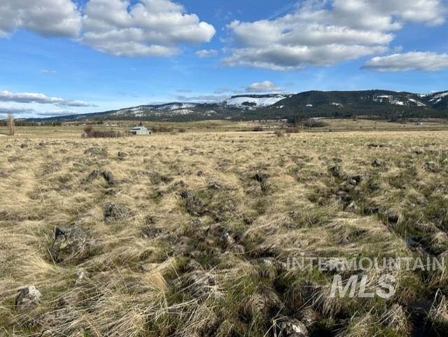 TBD Parcel 2A Whitetail Dr, Grangeville, Idaho 83530, Land For Sale, Price $150,000,MLS 98979231