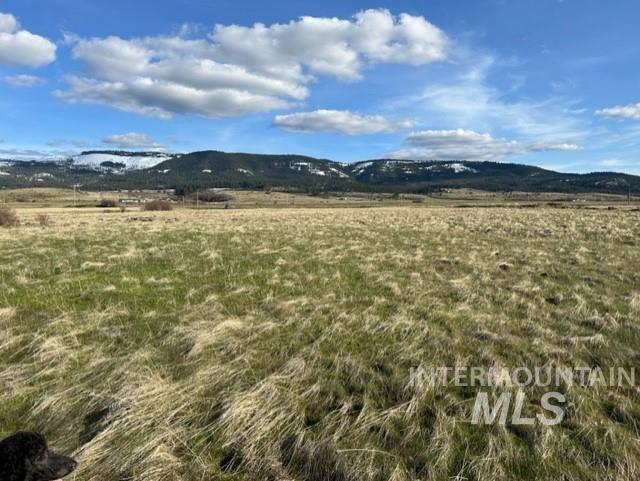 TBD Parcel 2A Whitetail Dr, Grangeville, Idaho 83530, Land For Sale, Price $150,000,MLS 98979231