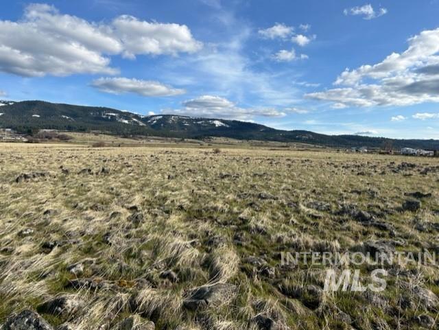 TBD Parcel 2A Whitetail Dr, Grangeville, Idaho 83530, Land For Sale, Price $150,000,MLS 98979231