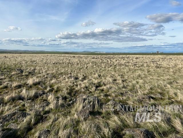 TBD Parcel 2A Whitetail Dr, Grangeville, Idaho 83530, Land For Sale, Price $150,000,MLS 98979231