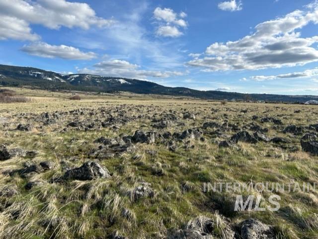 TBD Parcel 2A Whitetail Dr, Grangeville, Idaho 83530, Land For Sale, Price $150,000,MLS 98979231