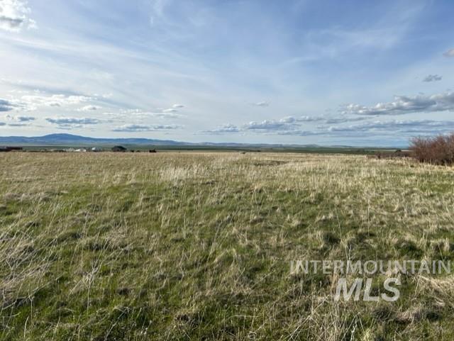 TBD Parcel 2A Whitetail Dr, Grangeville, Idaho 83530, Land For Sale, Price $150,000,MLS 98979231