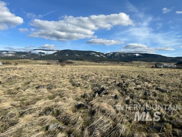 TBD Whitetail Dr, Grangeville, Idaho 83530, Land For Sale, Price $285,000, 98979235
