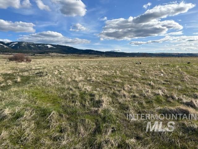 TBD Whitetail Dr, Grangeville, Idaho 83530, Land For Sale, Price $285,000, 98979235