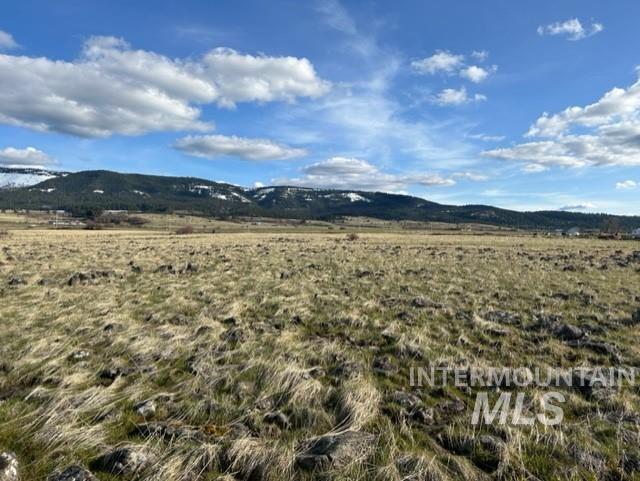 TBD Whitetail Dr, Grangeville, Idaho 83530, Land For Sale, Price $285,000, 98979235