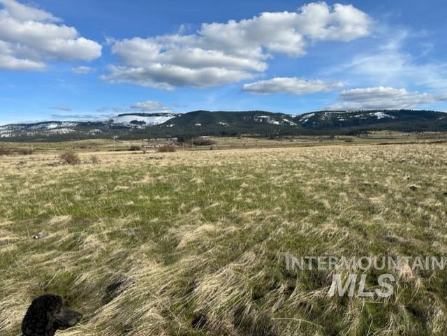 TBD Whitetail Dr, Grangeville, Idaho 83530, Land For Sale, Price $285,000, 98979235