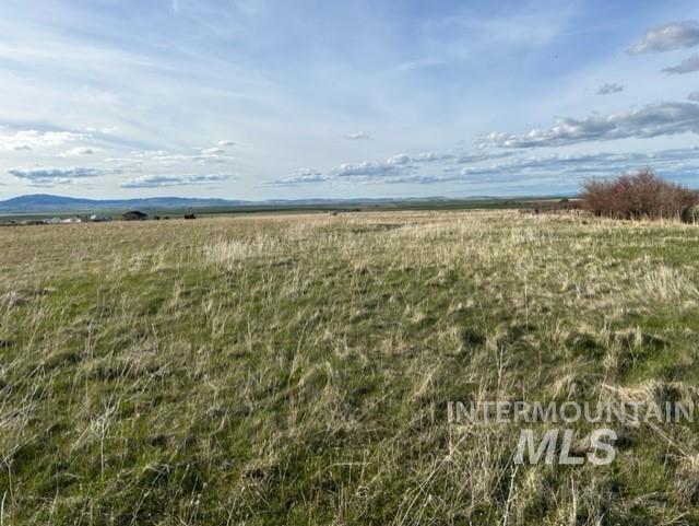 TBD Whitetail Dr, Grangeville, Idaho 83530, Land For Sale, Price $285,000, 98979235