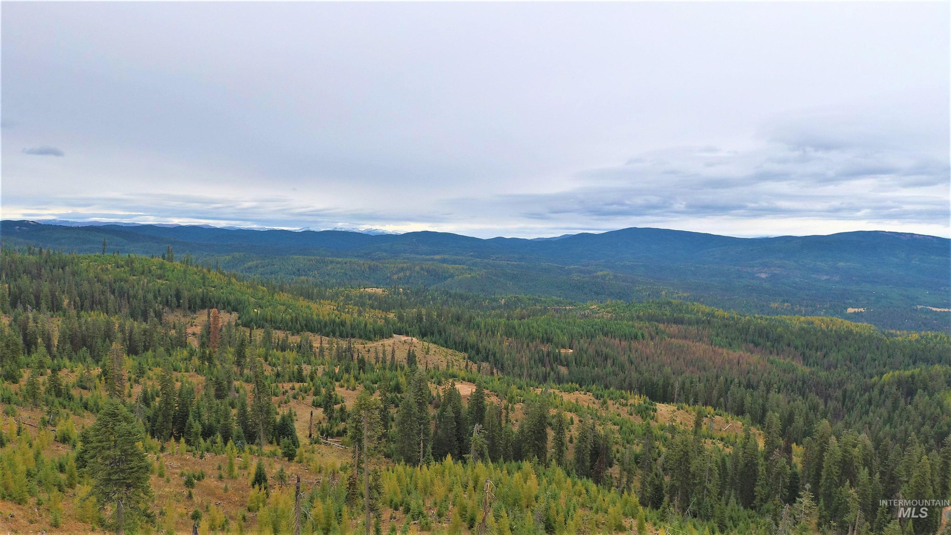 TBD Elk City Wagon Road, Elk City, Idaho 83525, Land For Sale, Price $229,000,MLS 98979274