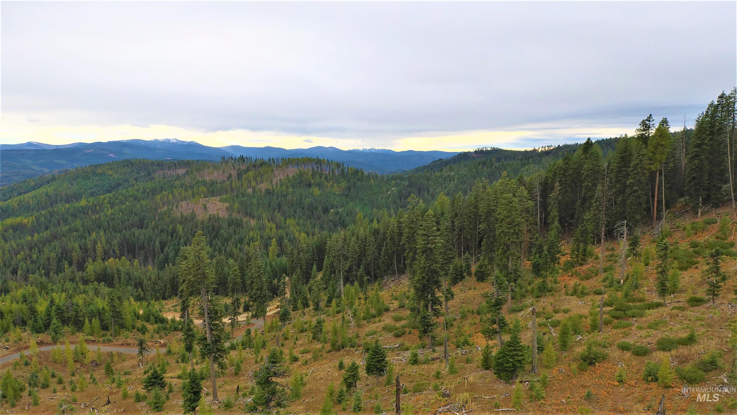 TBD Elk City Wagon Road, Elk City, Idaho 83525, Land For Sale, Price $229,000,MLS 98979274