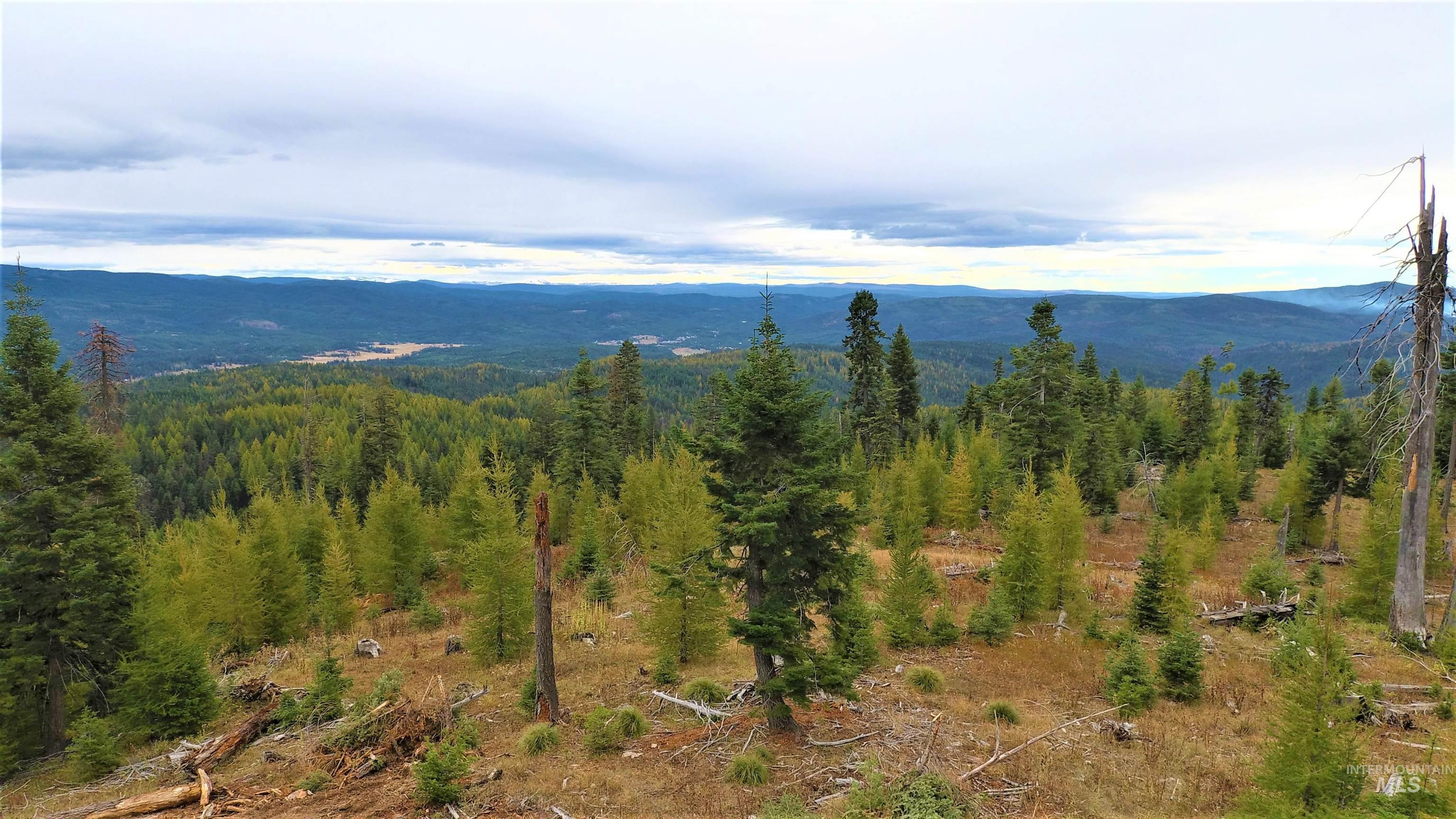 TBD Elk City Wagon Road, Elk City, Idaho 83525, Land For Sale, Price $229,000,MLS 98979274