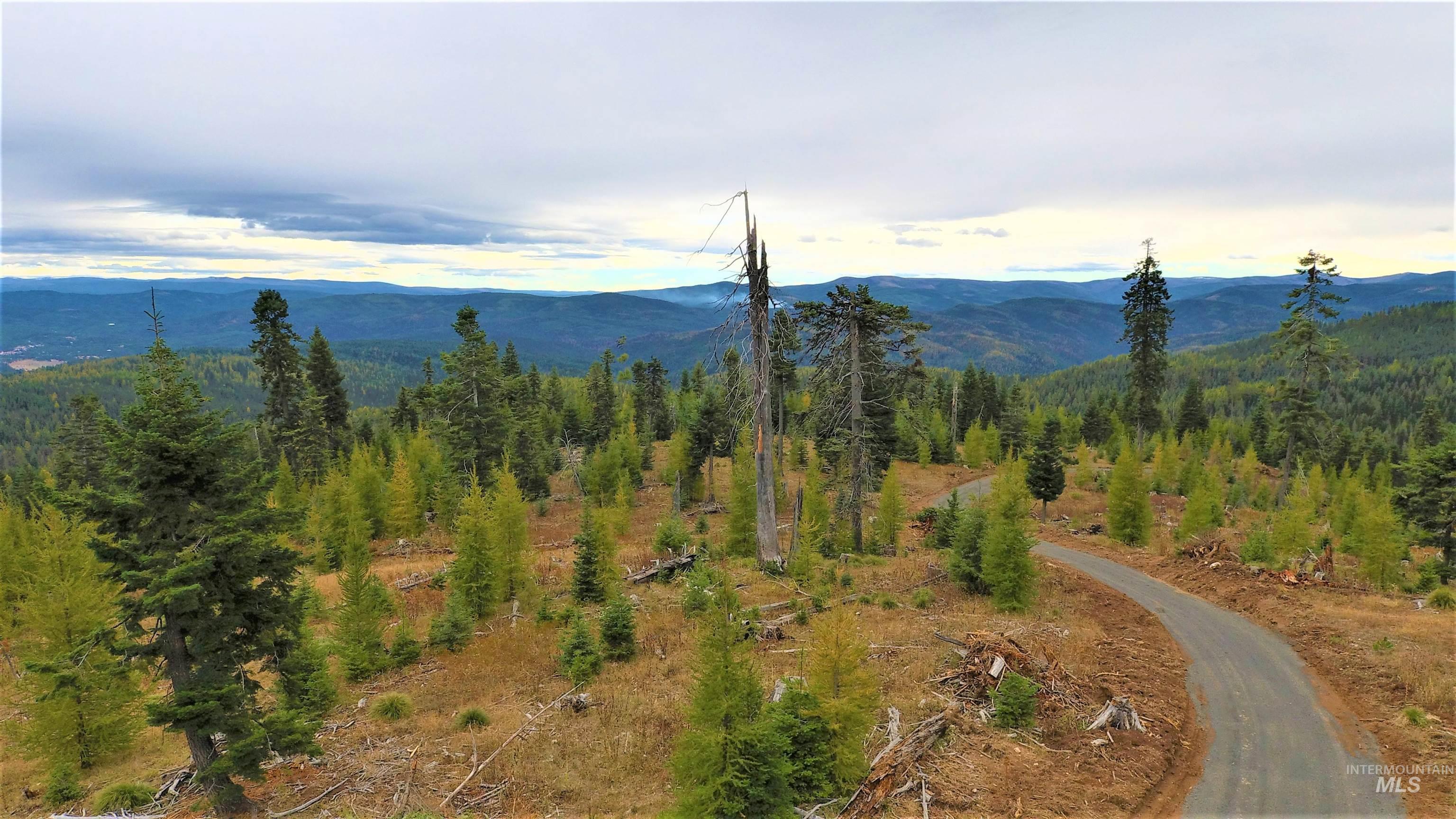 TBD Elk City Wagon Road, Elk City, Idaho 83525, Land For Sale, Price $229,000,MLS 98979274