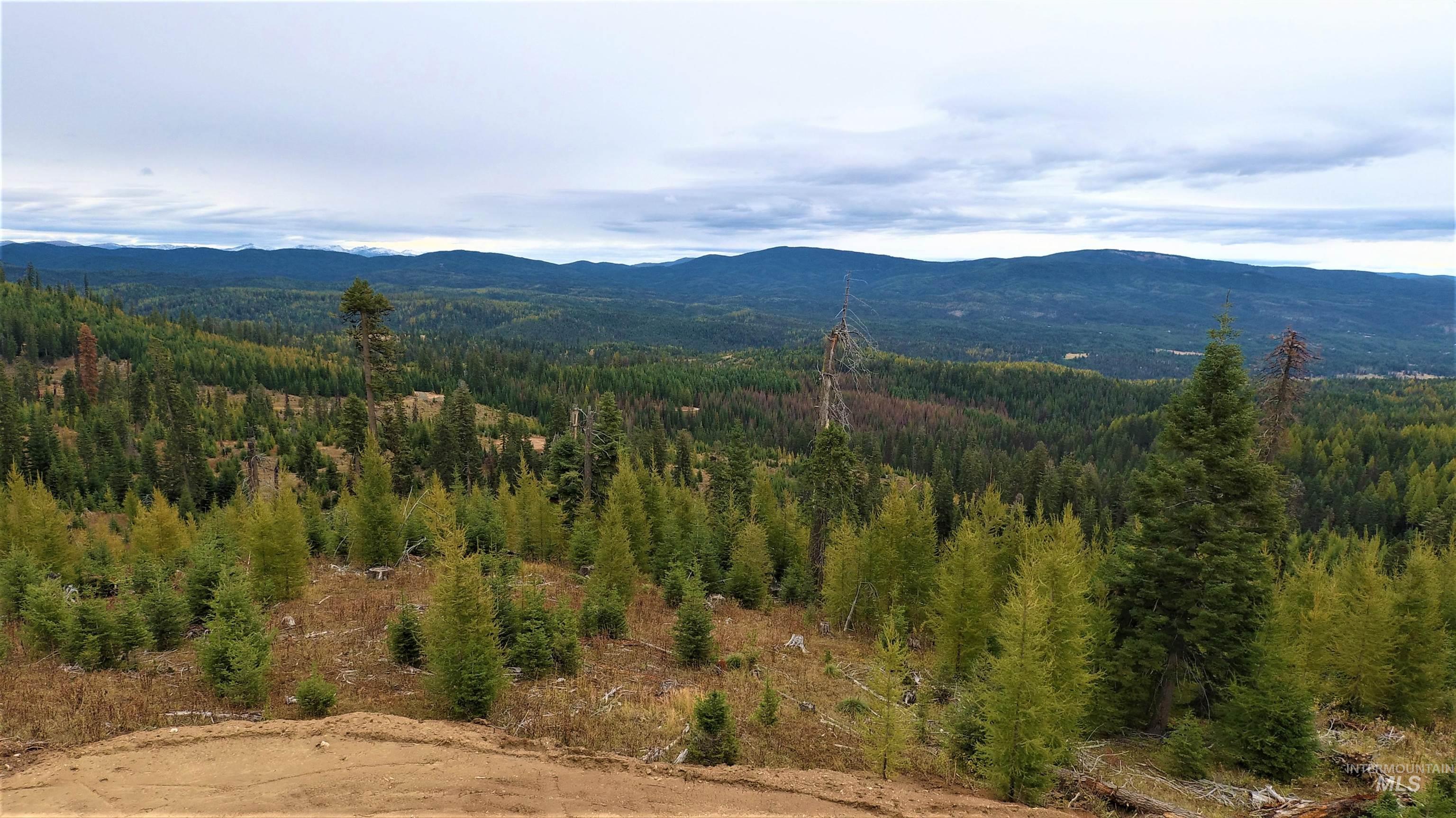 TBD Elk City Wagon Road, Elk City, Idaho 83525, Land For Sale, Price $229,000,MLS 98979274