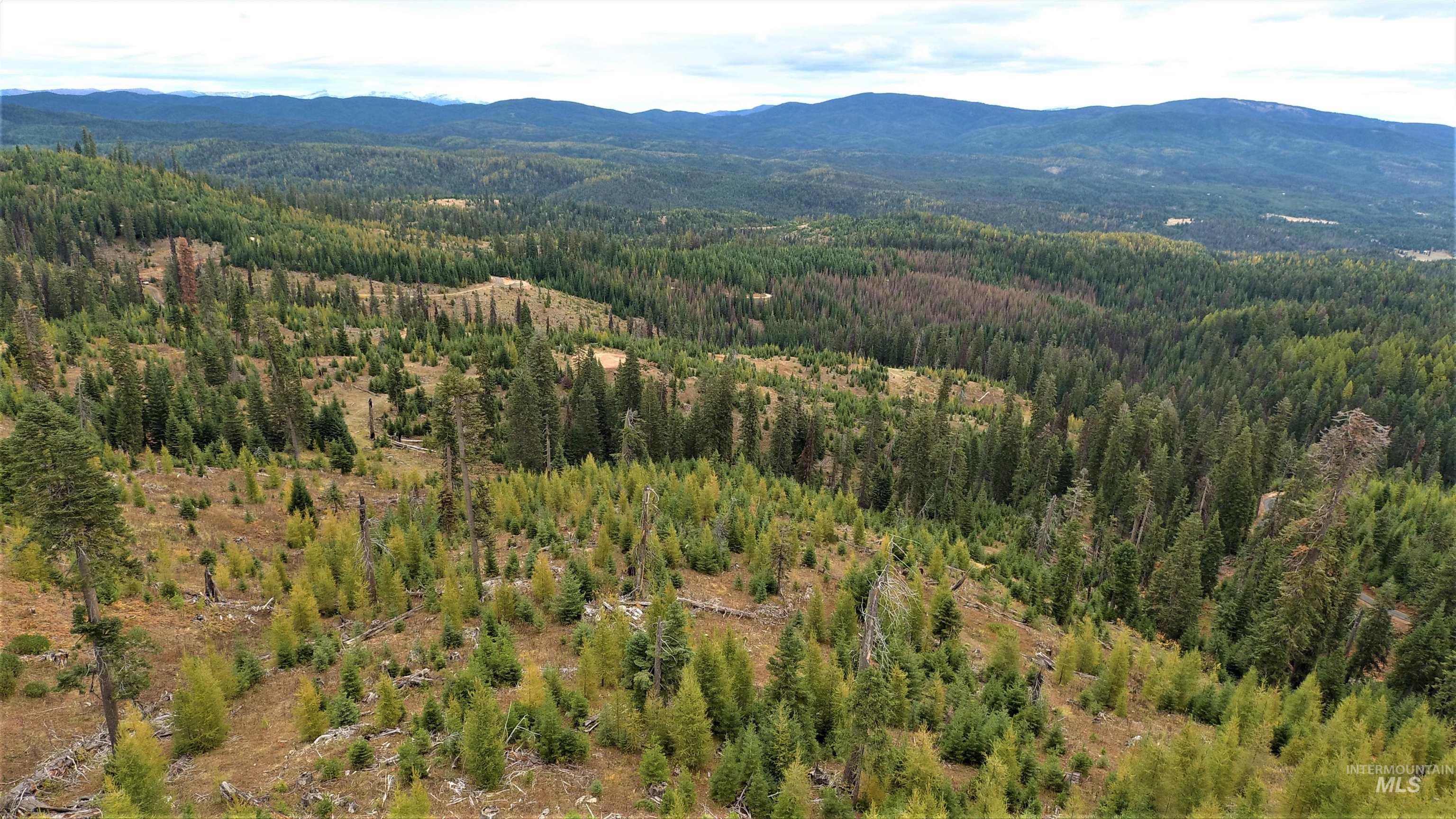 TBD Elk City Wagon Road, Elk City, Idaho 83525, Land For Sale, Price $229,000,MLS 98979274