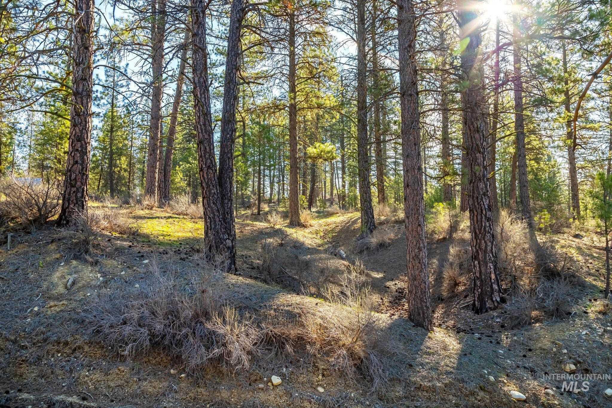 TBD ID City, Idaho City, Idaho 83631, Land For Sale, Price $210,000, 98979284