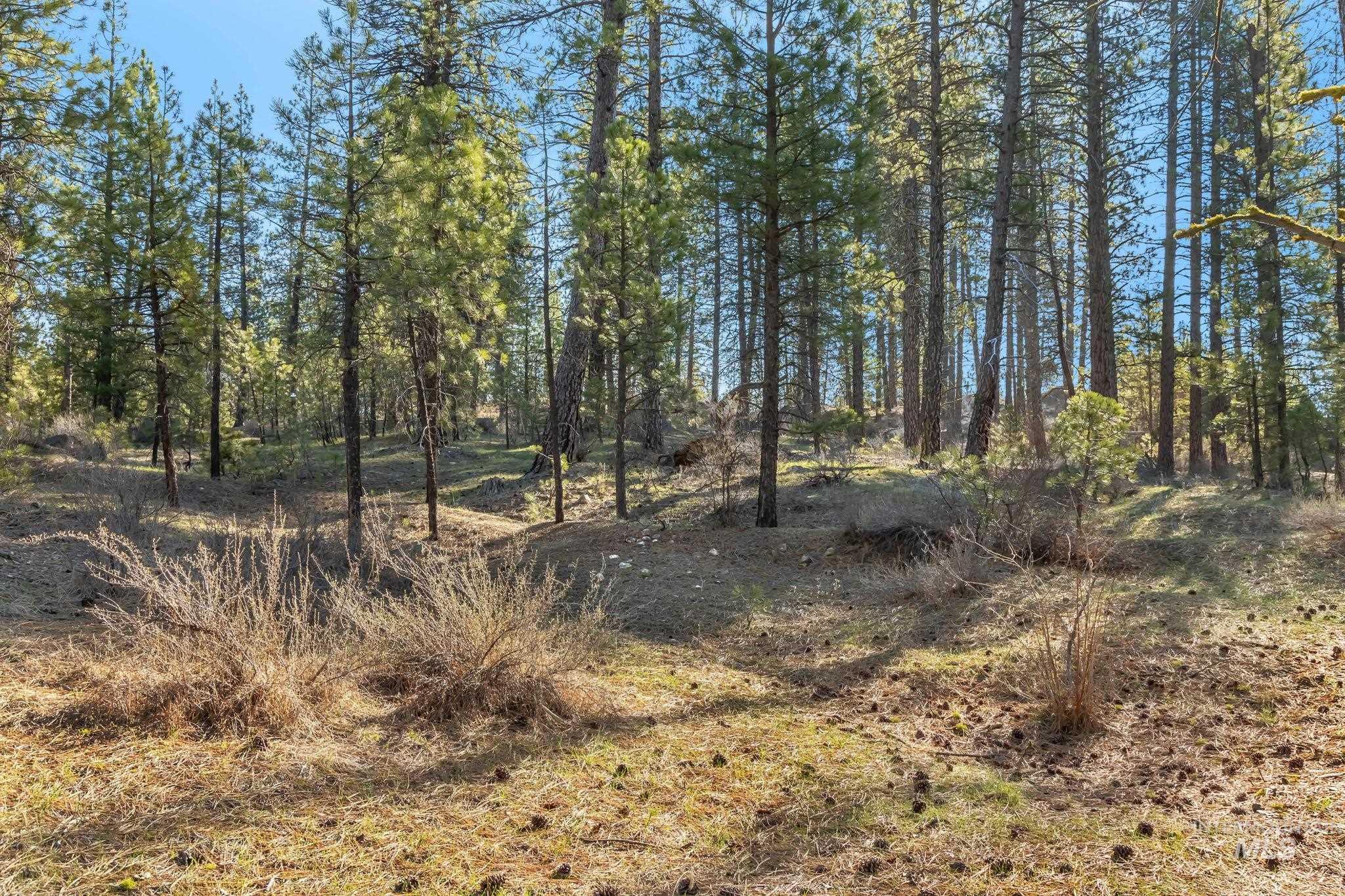TBD ID City, Idaho City, Idaho 83631, Land For Sale, Price $210,000, 98979284