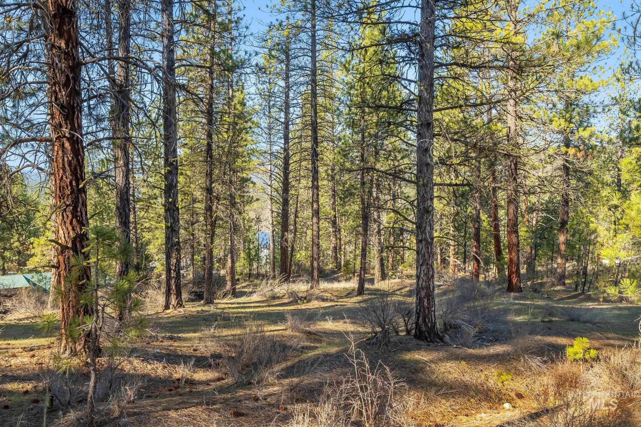 TBD ID City, Idaho City, Idaho 83631, Land For Sale, Price $210,000, 98979284